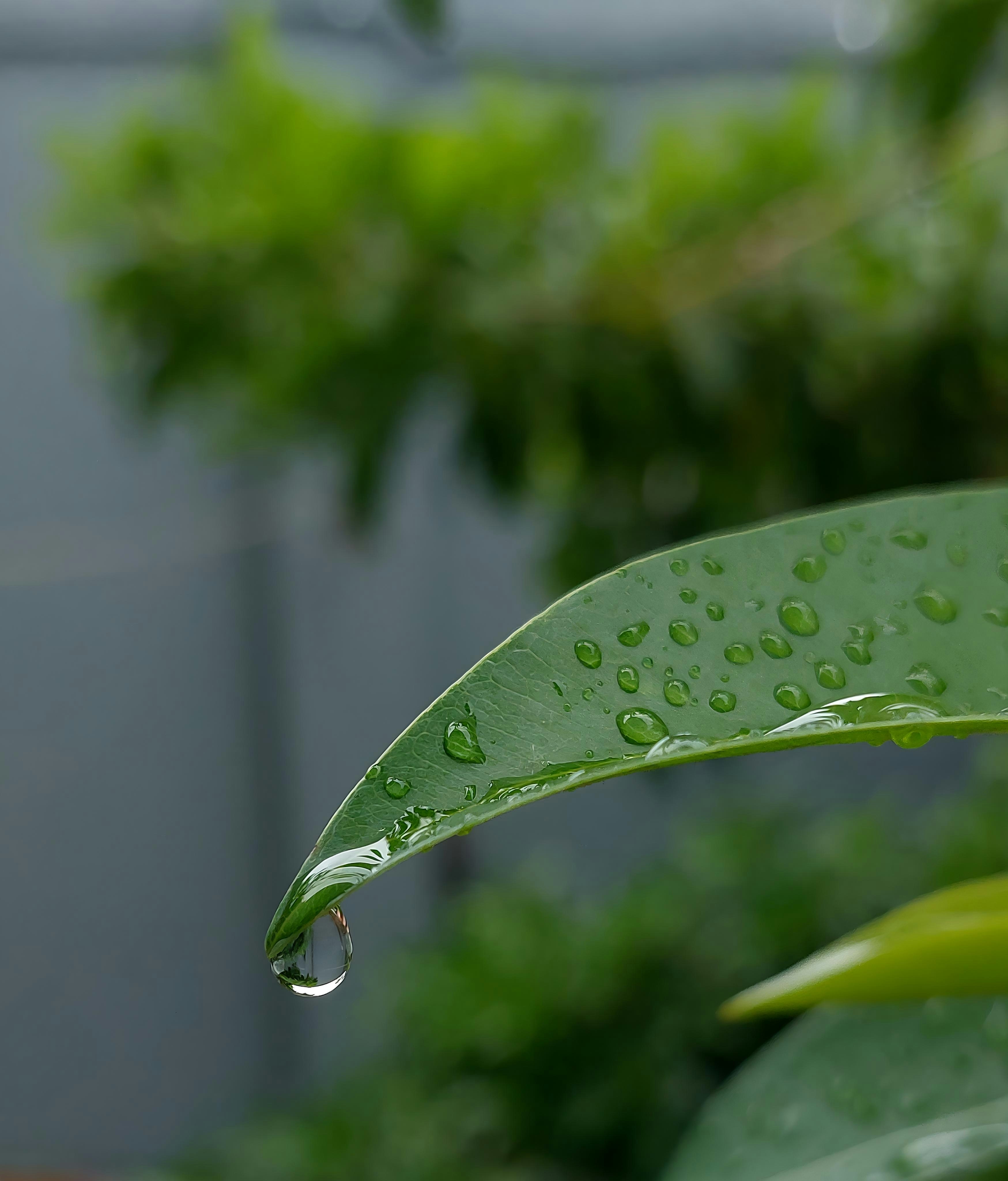 Photo by vibhor_jakhar