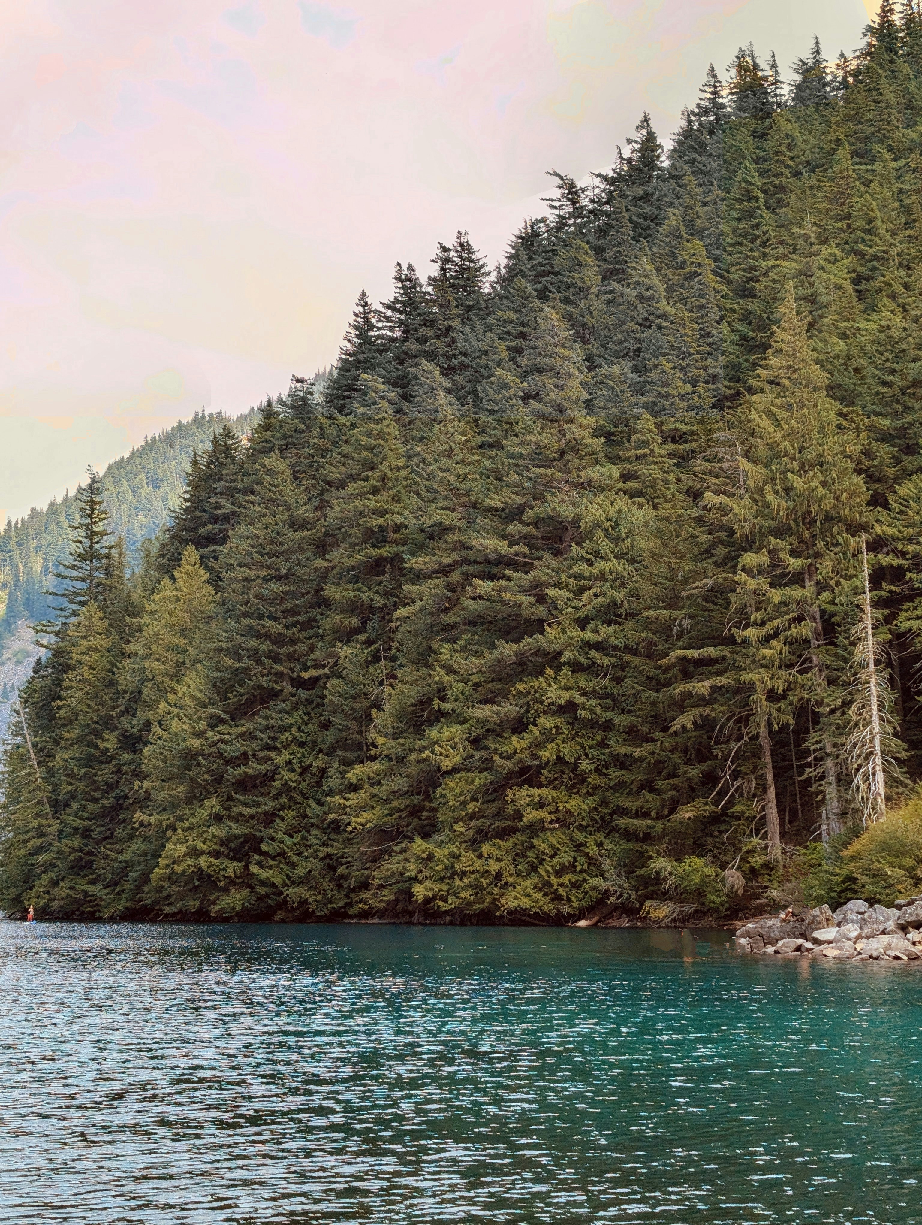 Photo by holychicken99