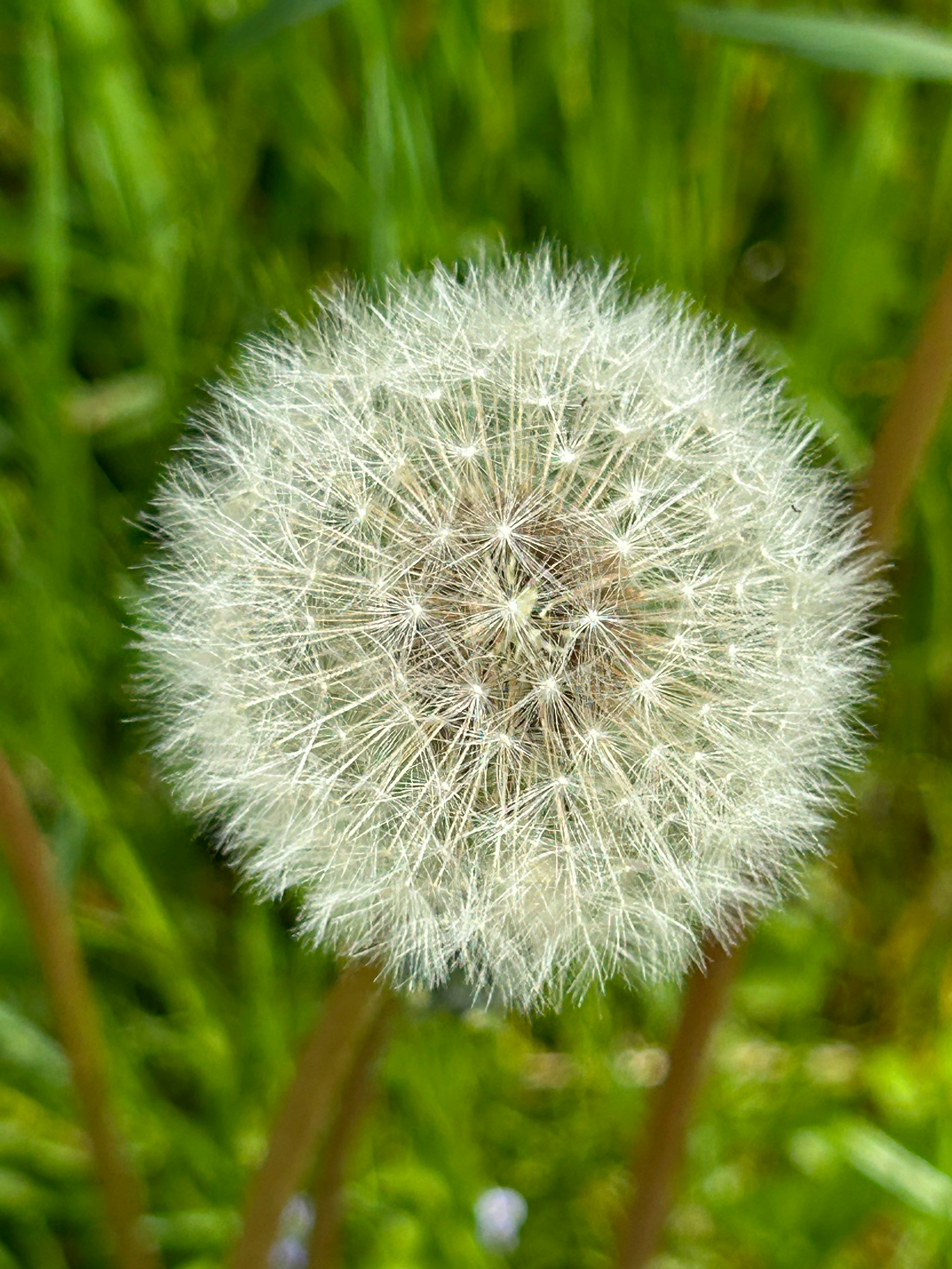 Žilina travel photo