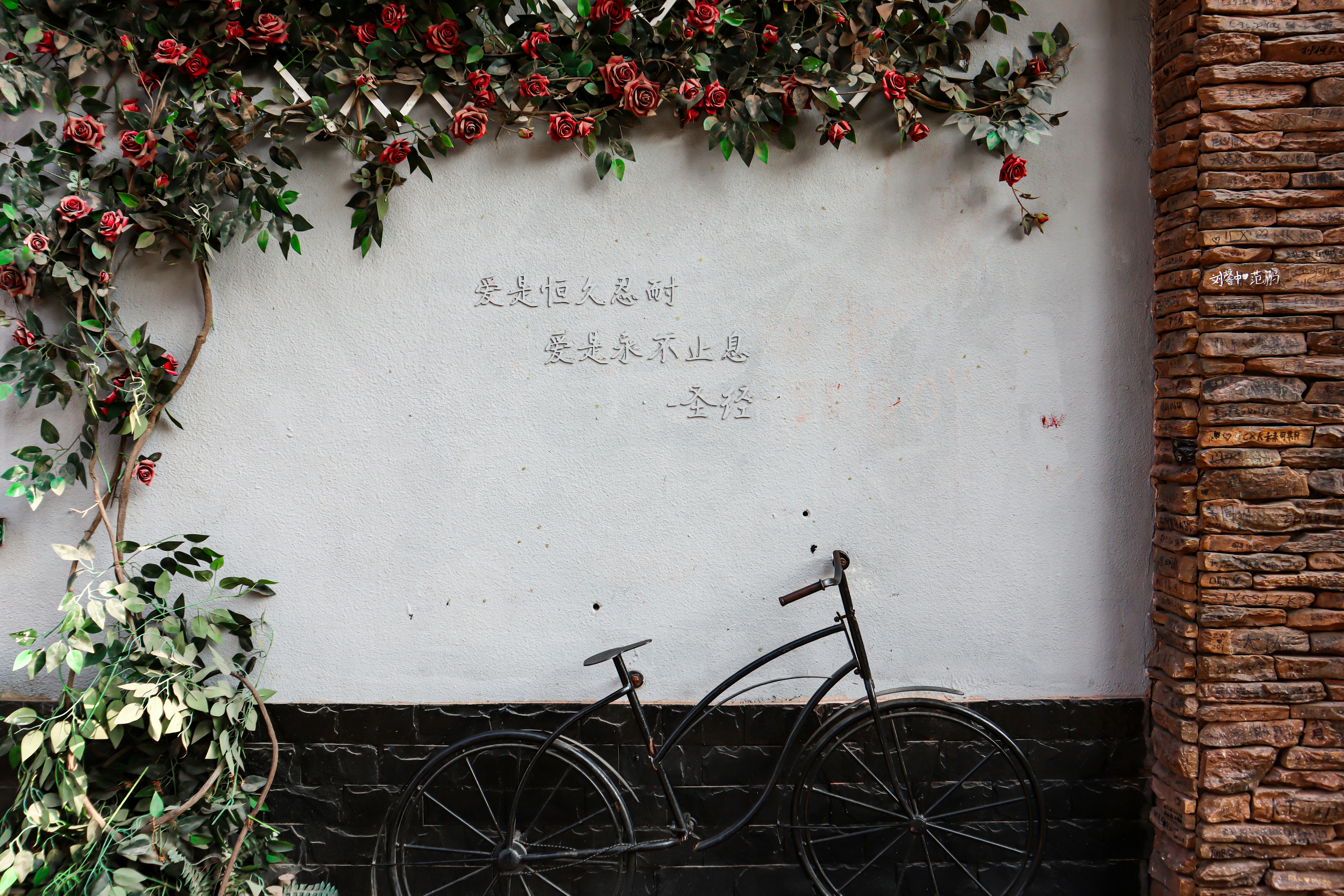 Photo by zyan1226