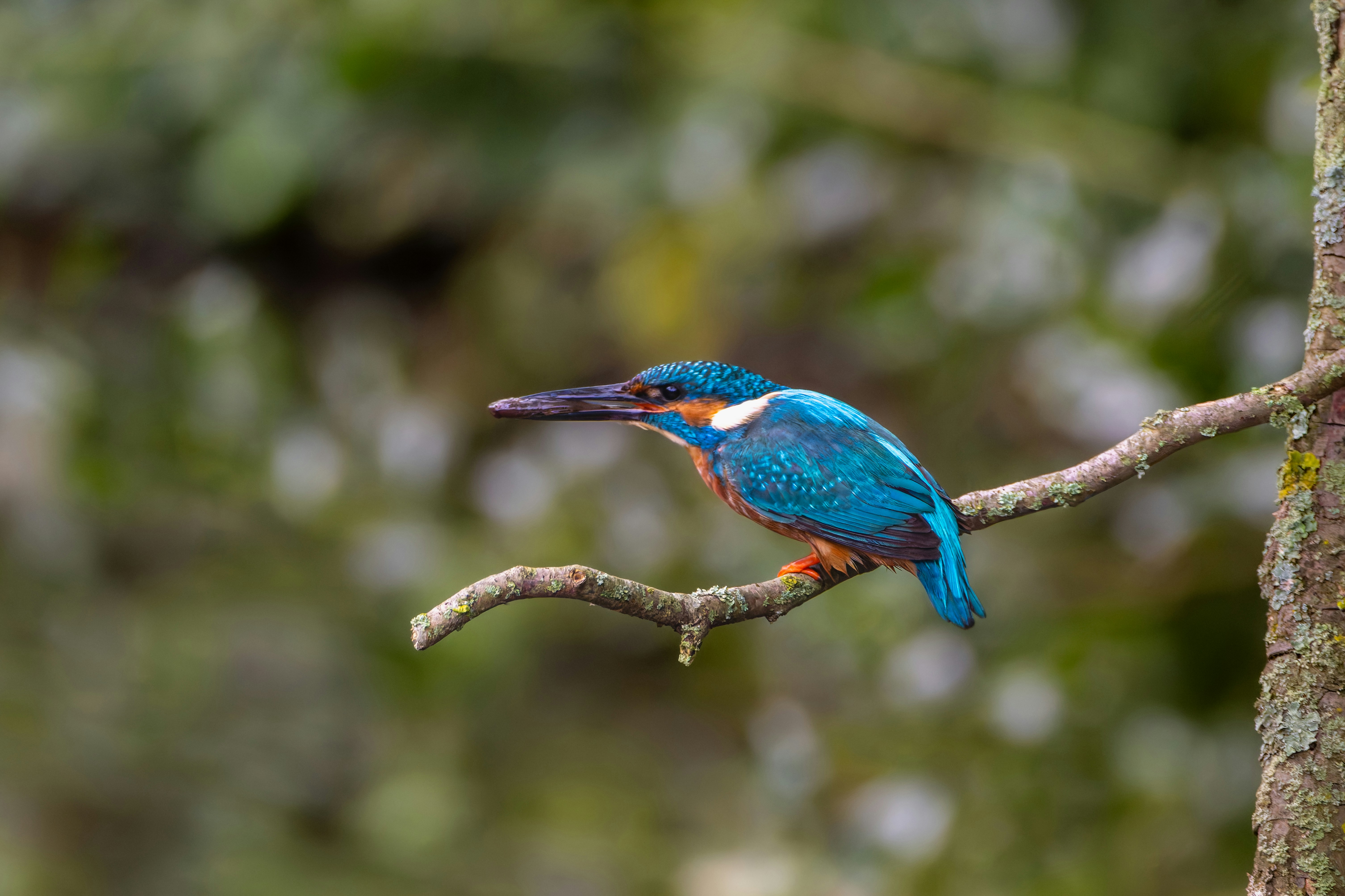 Photo by siegfriedpoepperl