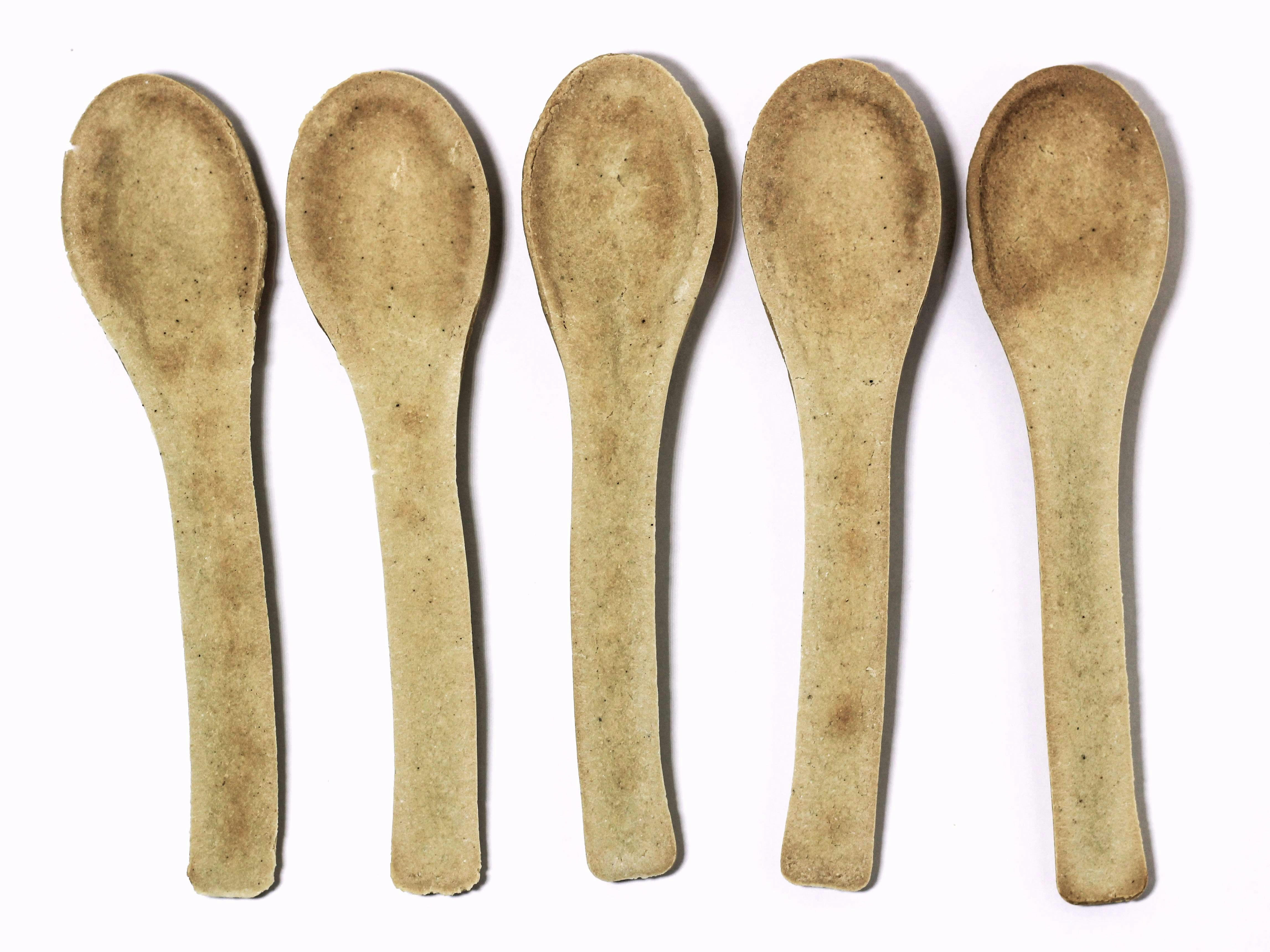 Five wooden spoons lined up in a row