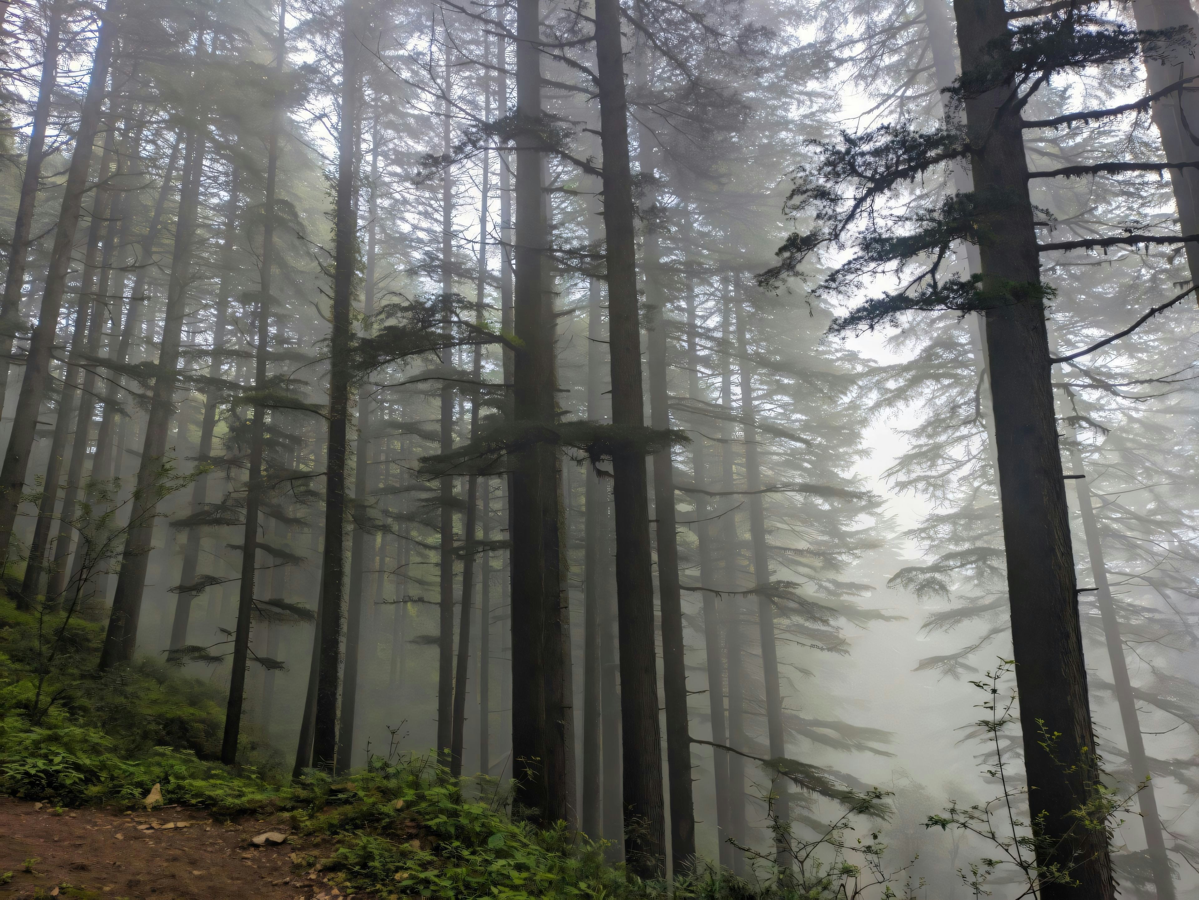 Photo by gopinath12