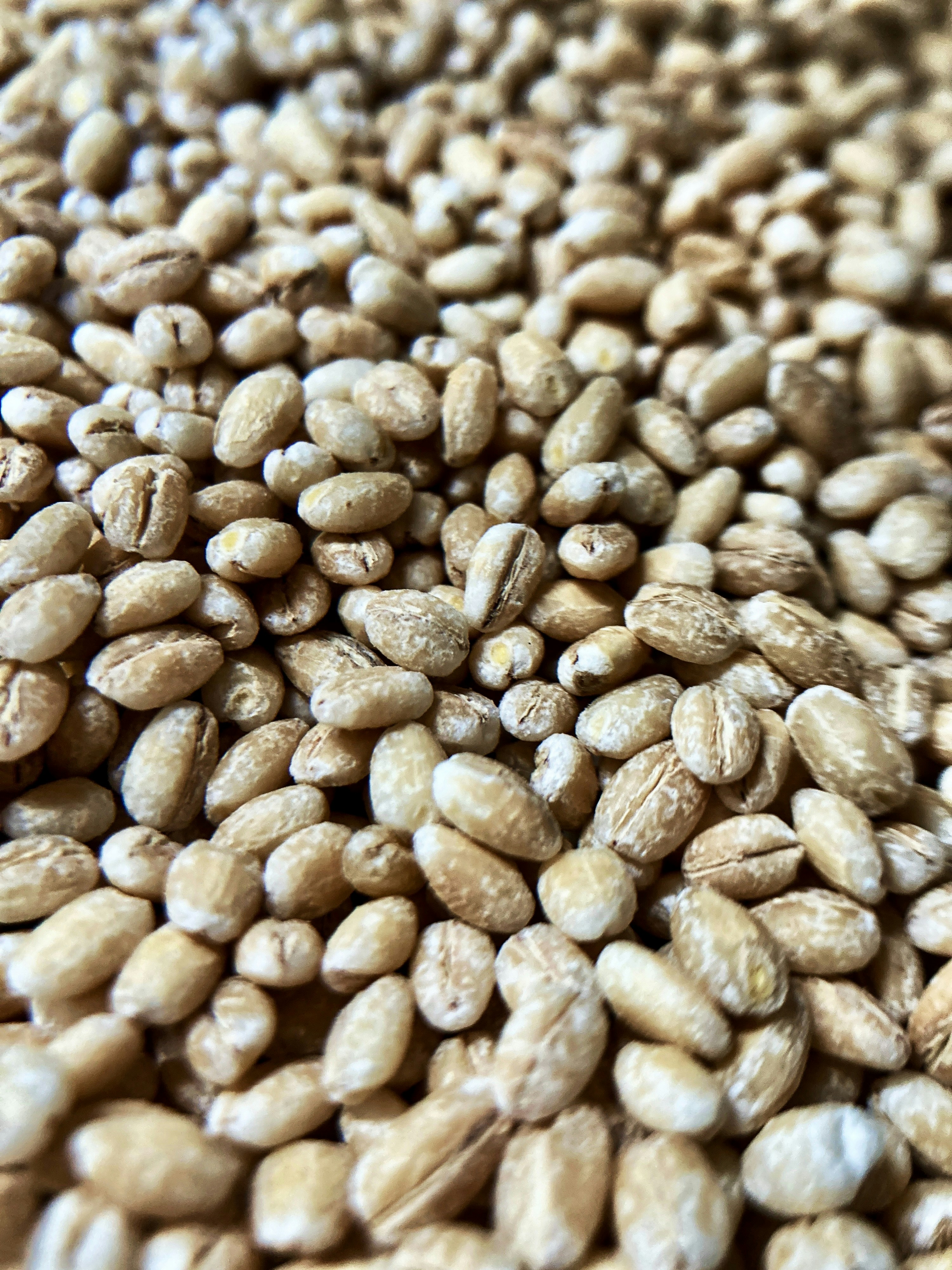 Photo by thomaskinto