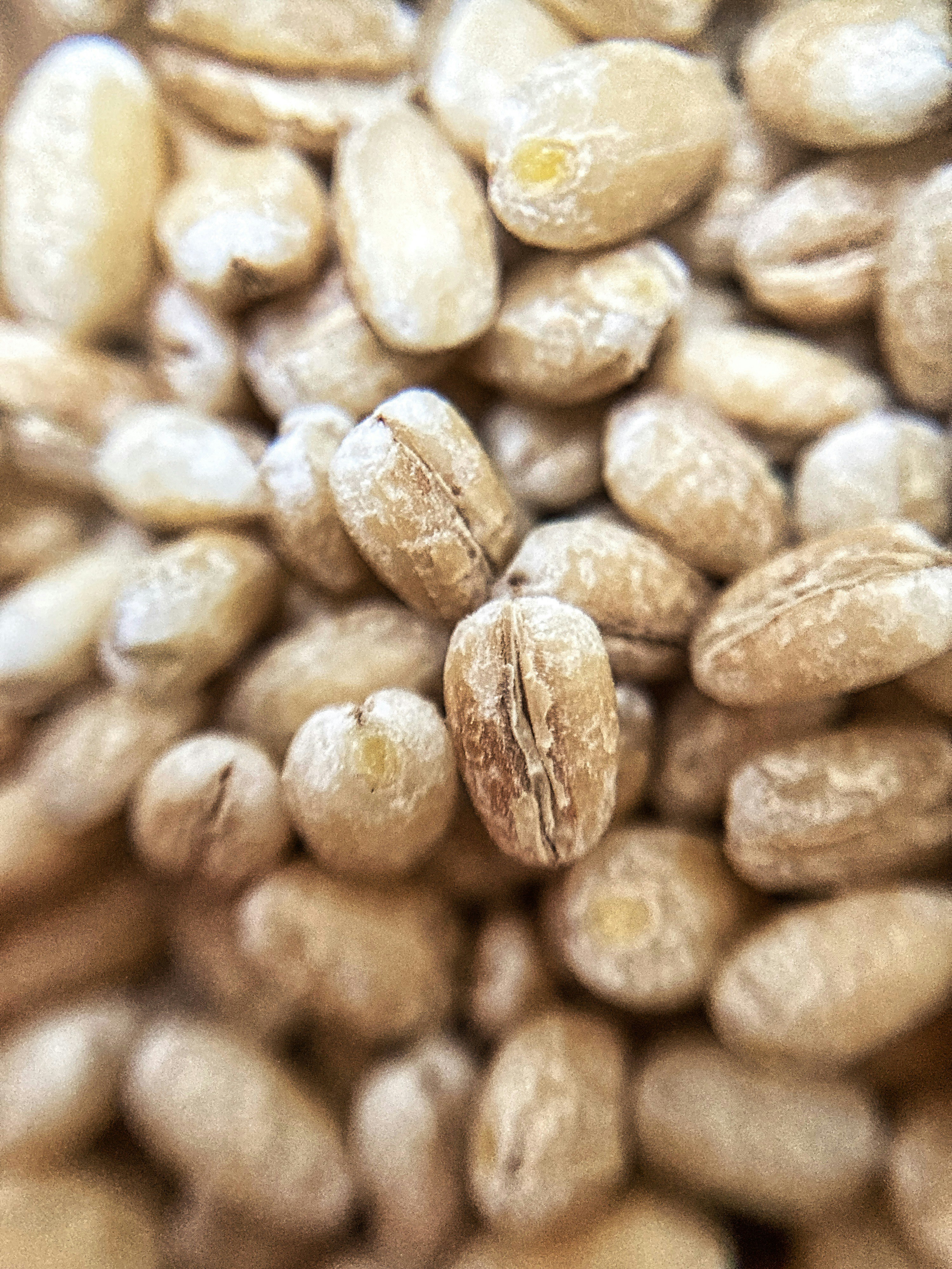 Photo by thomaskinto