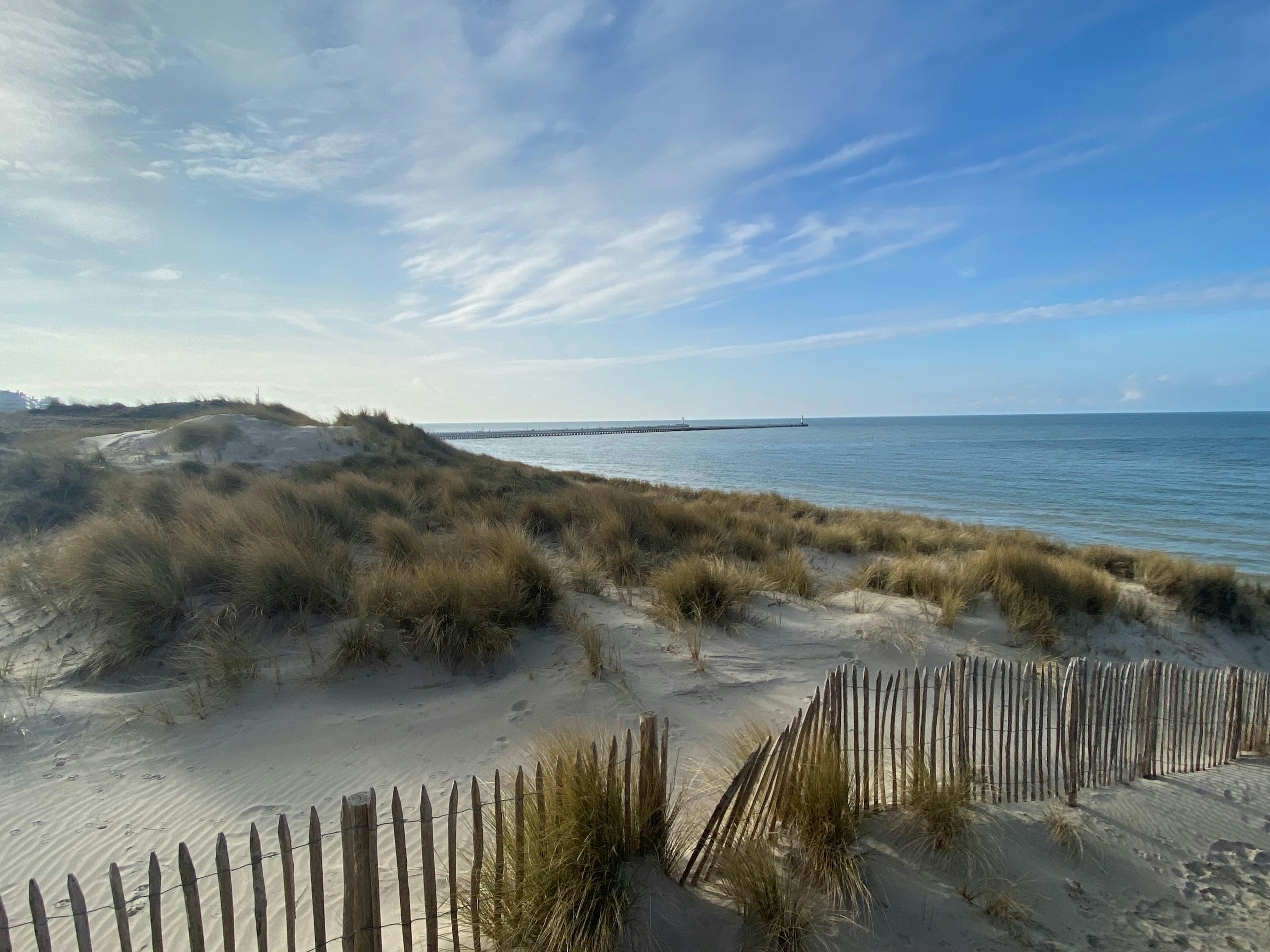 Photo by pfphotography