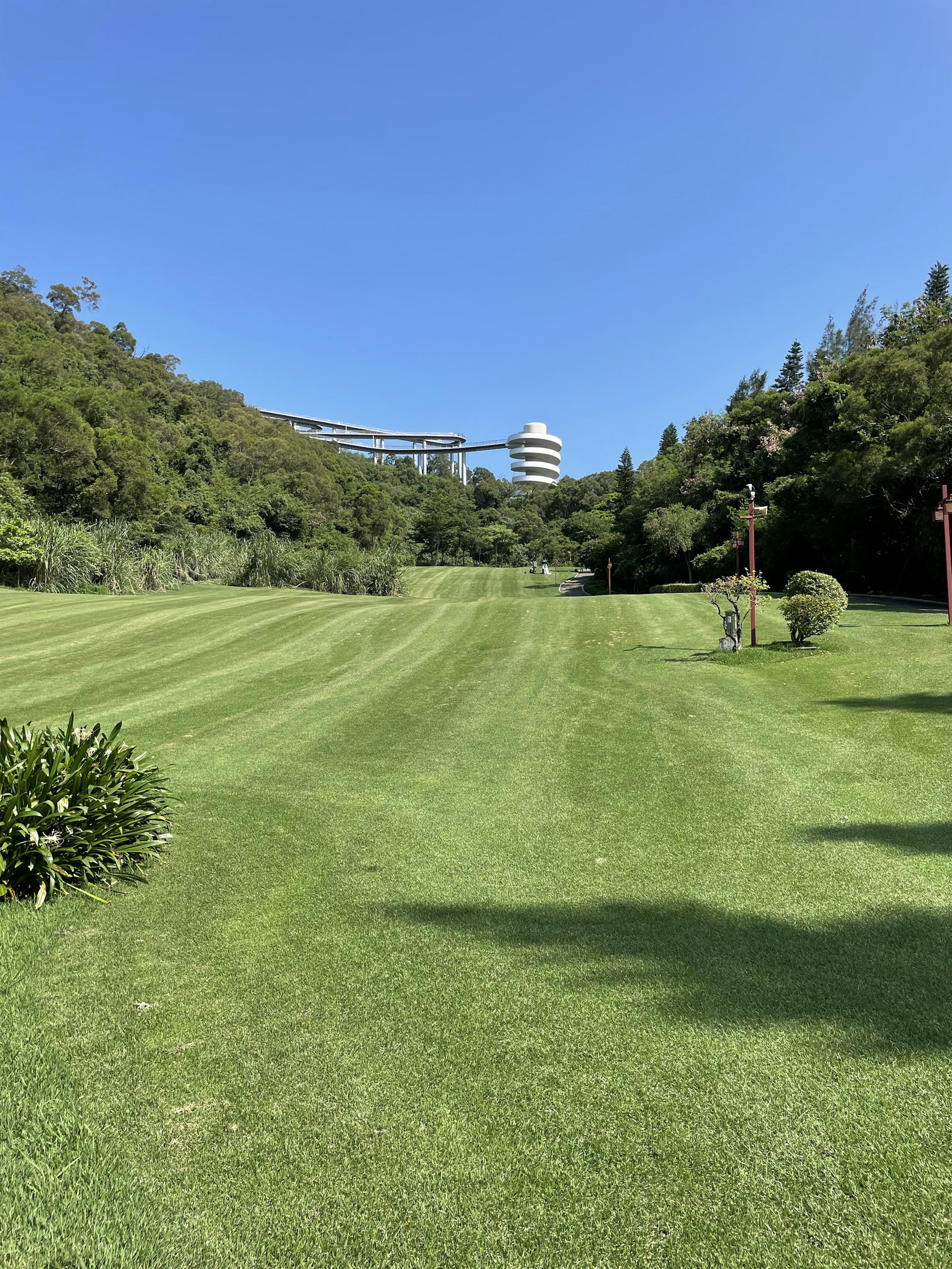 A large grassy field with trees in the background