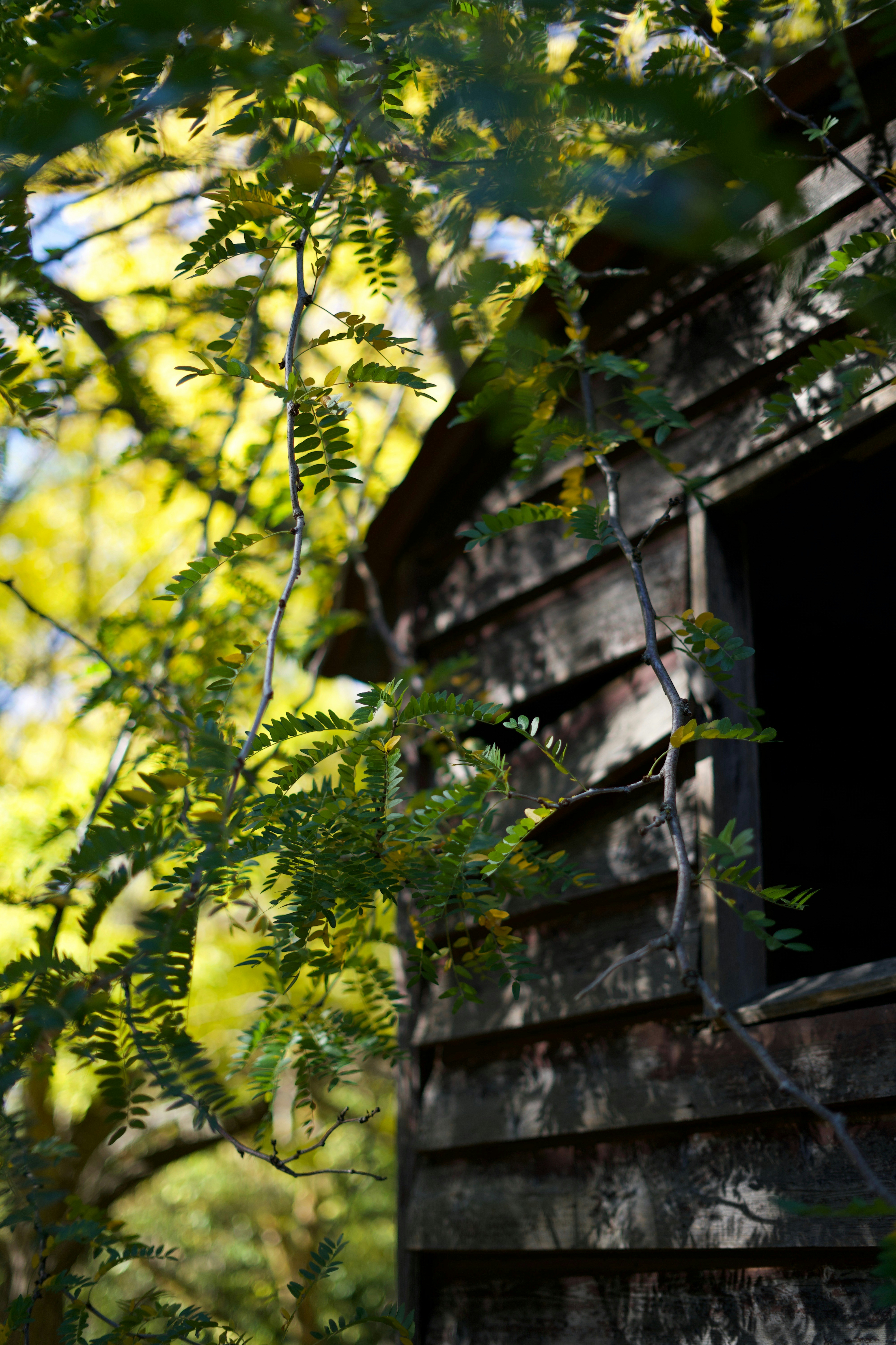 Photo by kris_verityamm