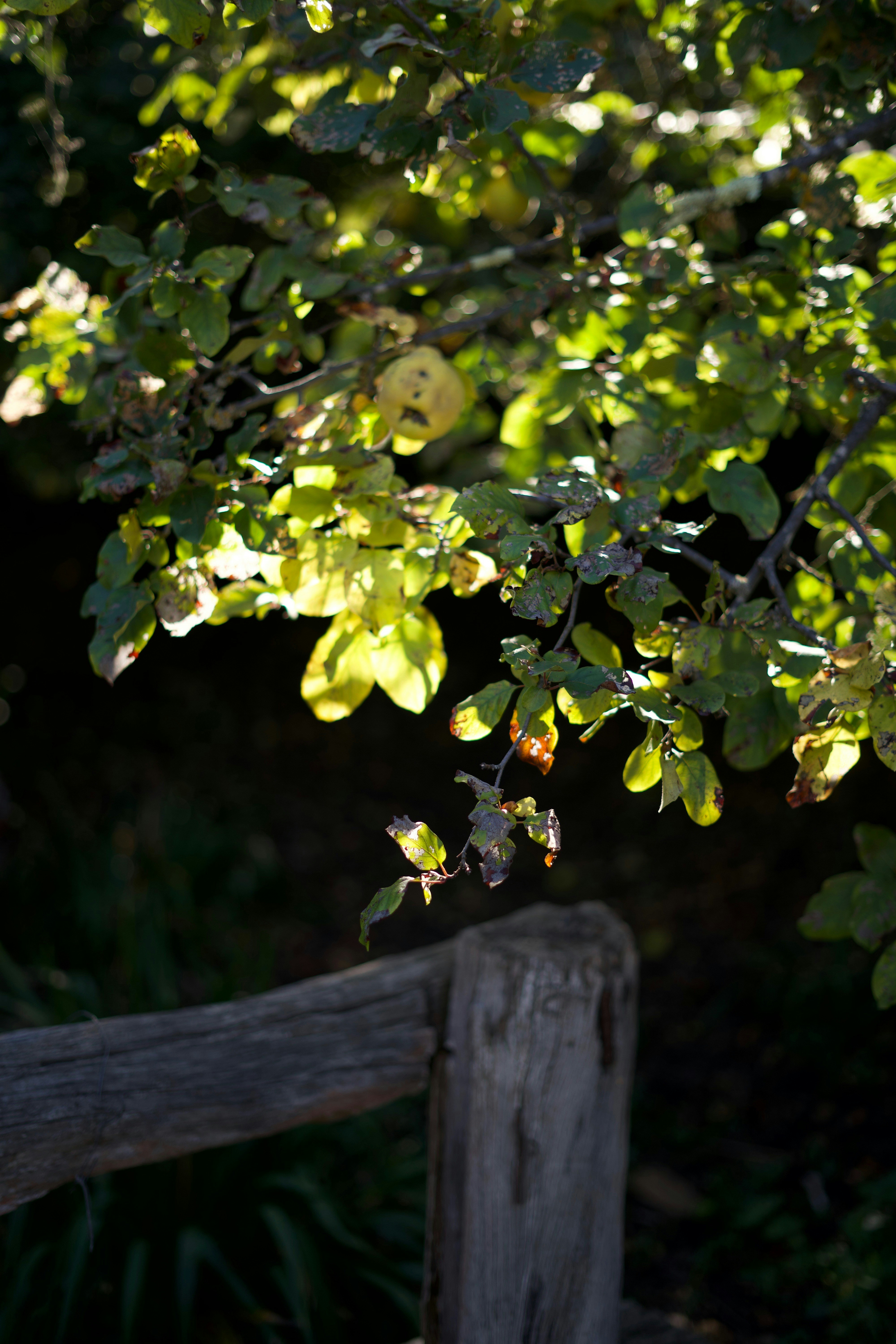 Photo by kris_verityamm