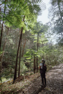 A person walking down a path in the woods