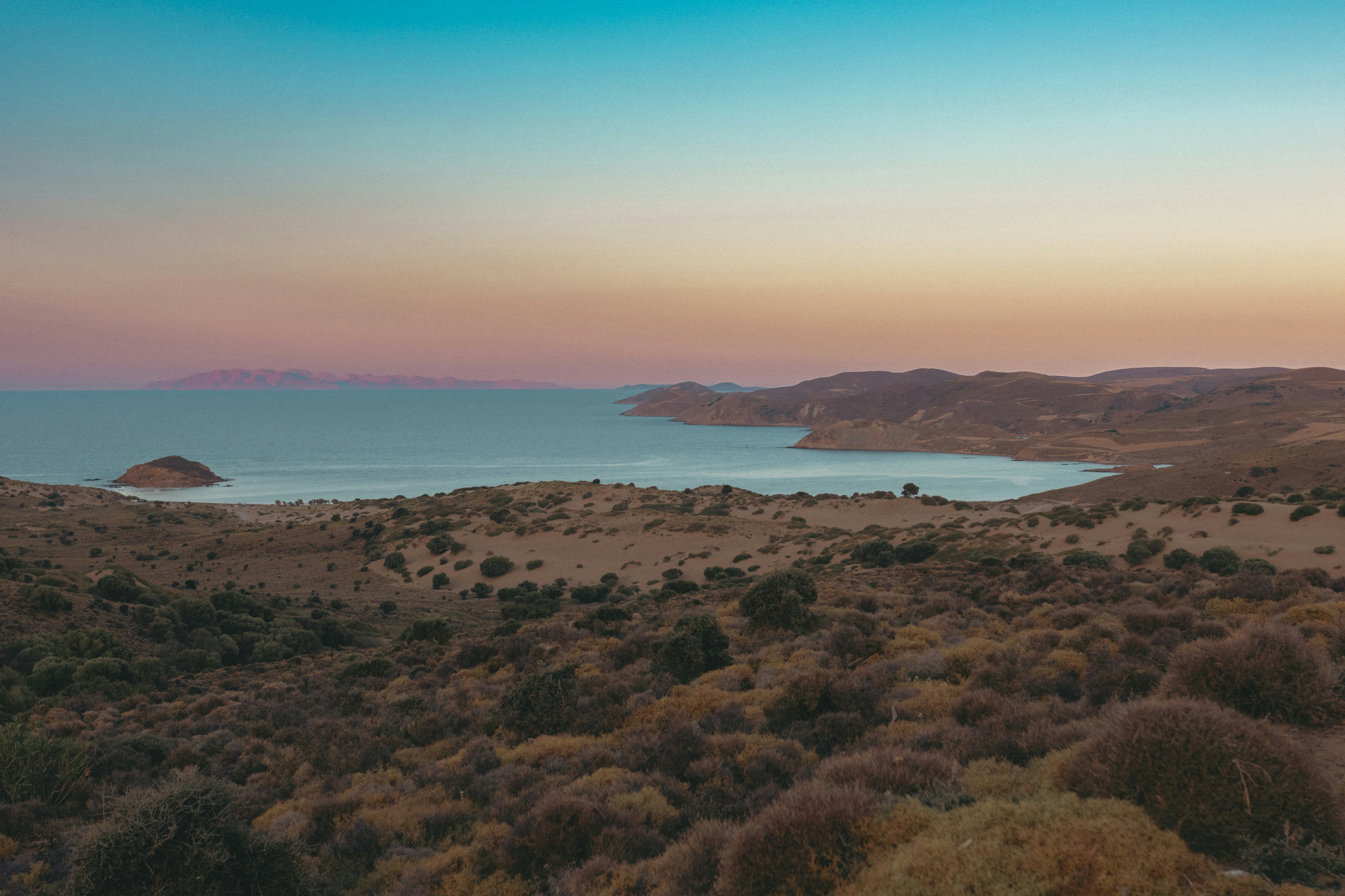 Featured image of post MiroFish