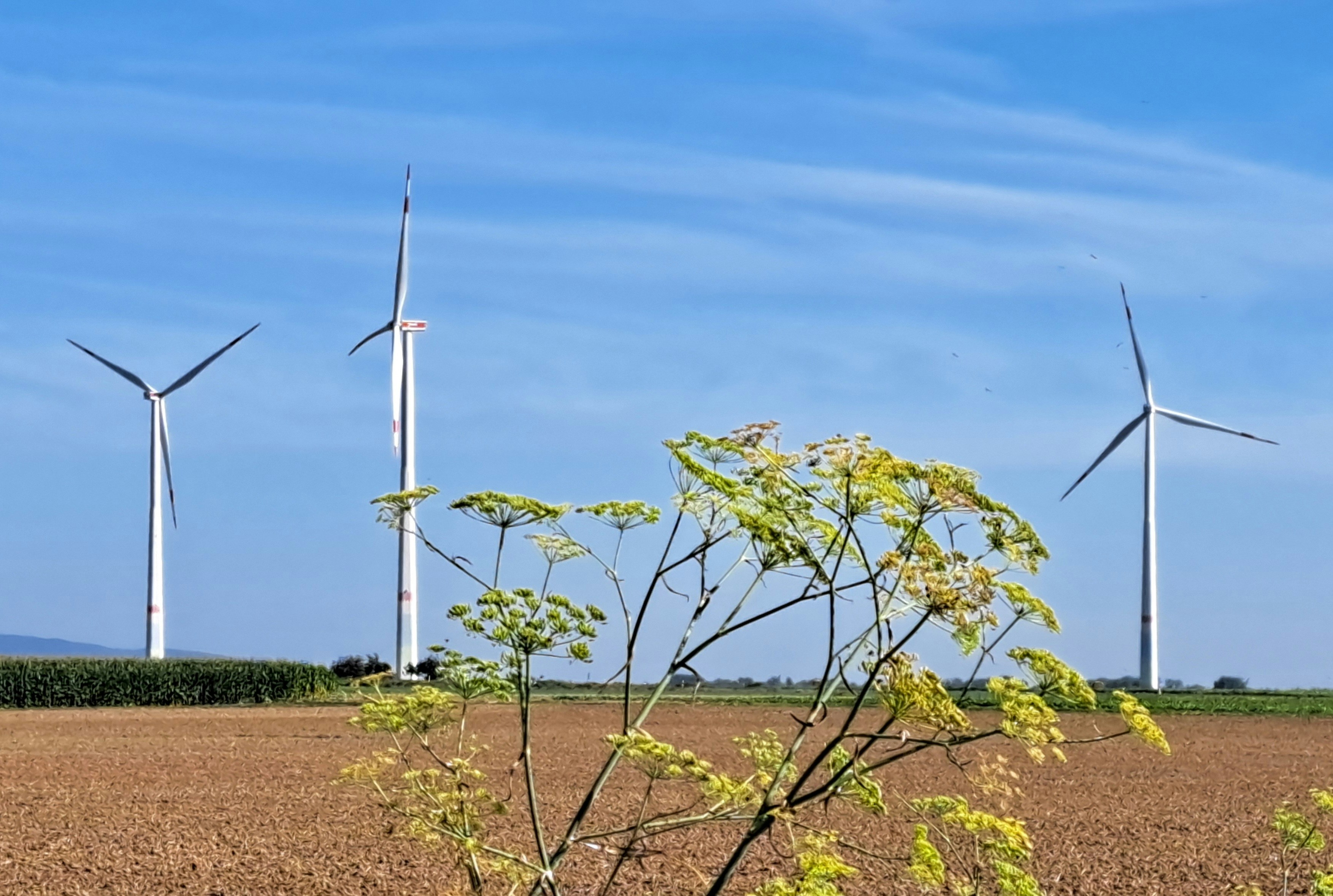 Photo by schreibmich