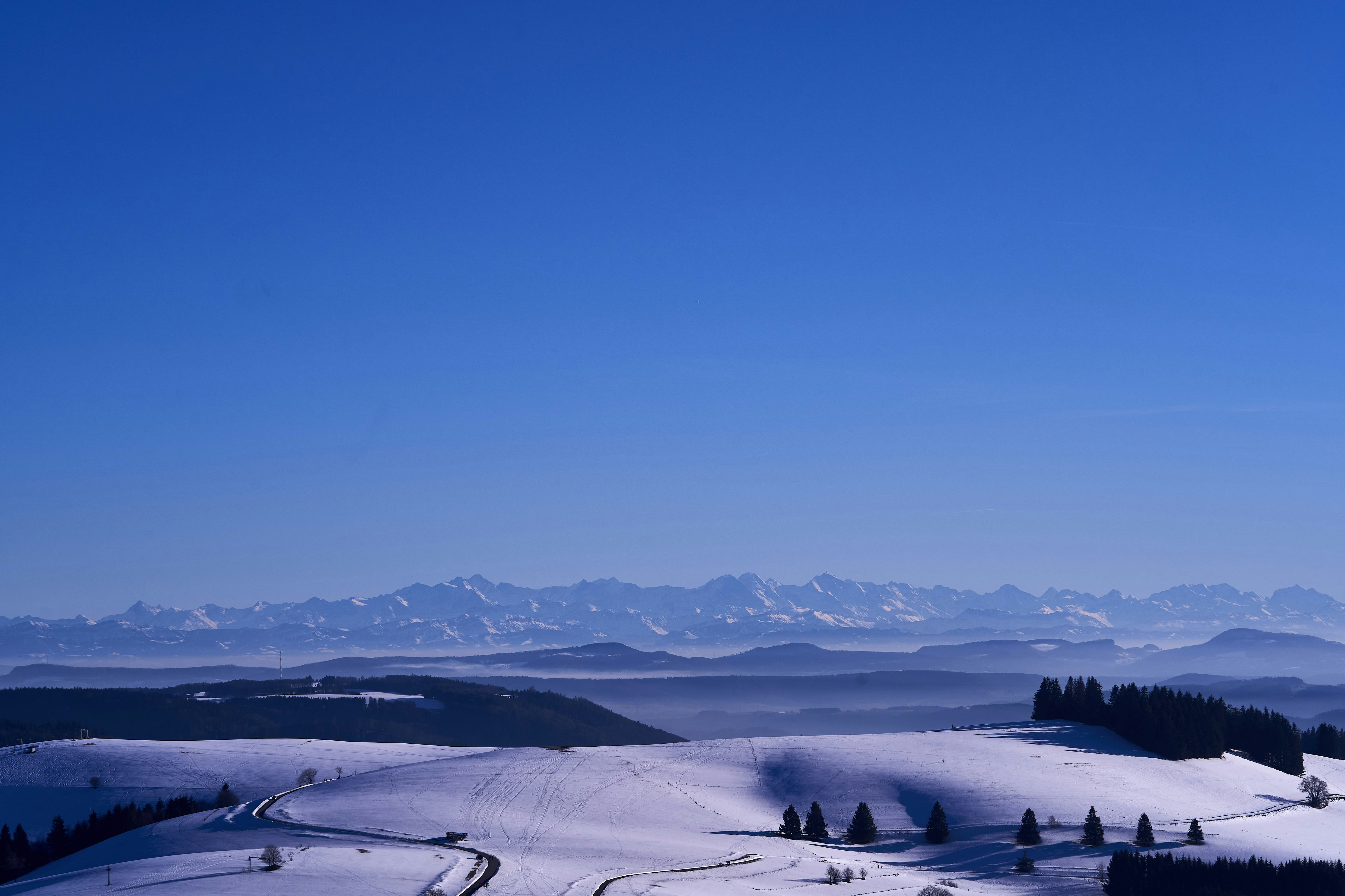 Photo by wolfgang_hasselmann