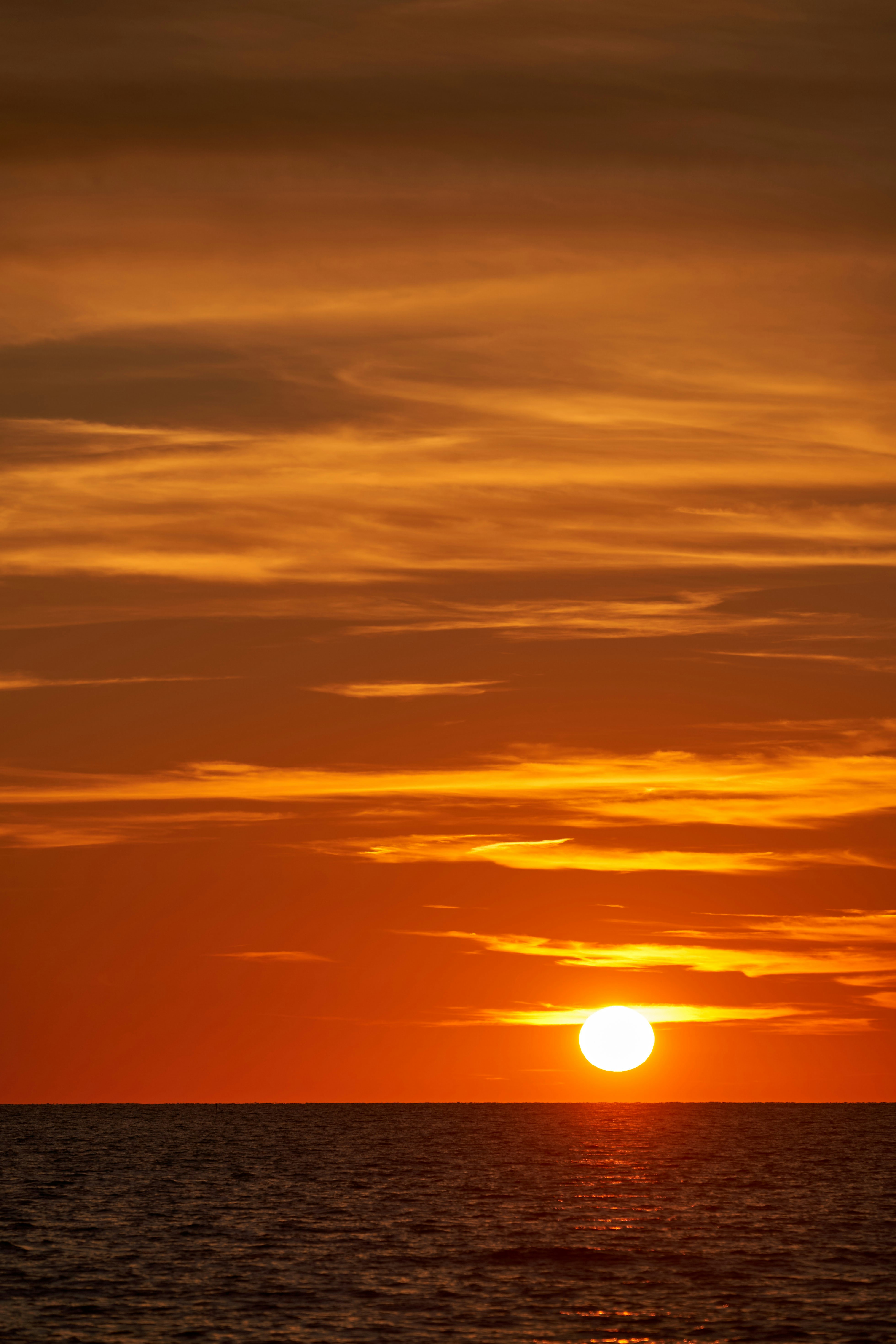 Photo by wolfgang_hasselmann