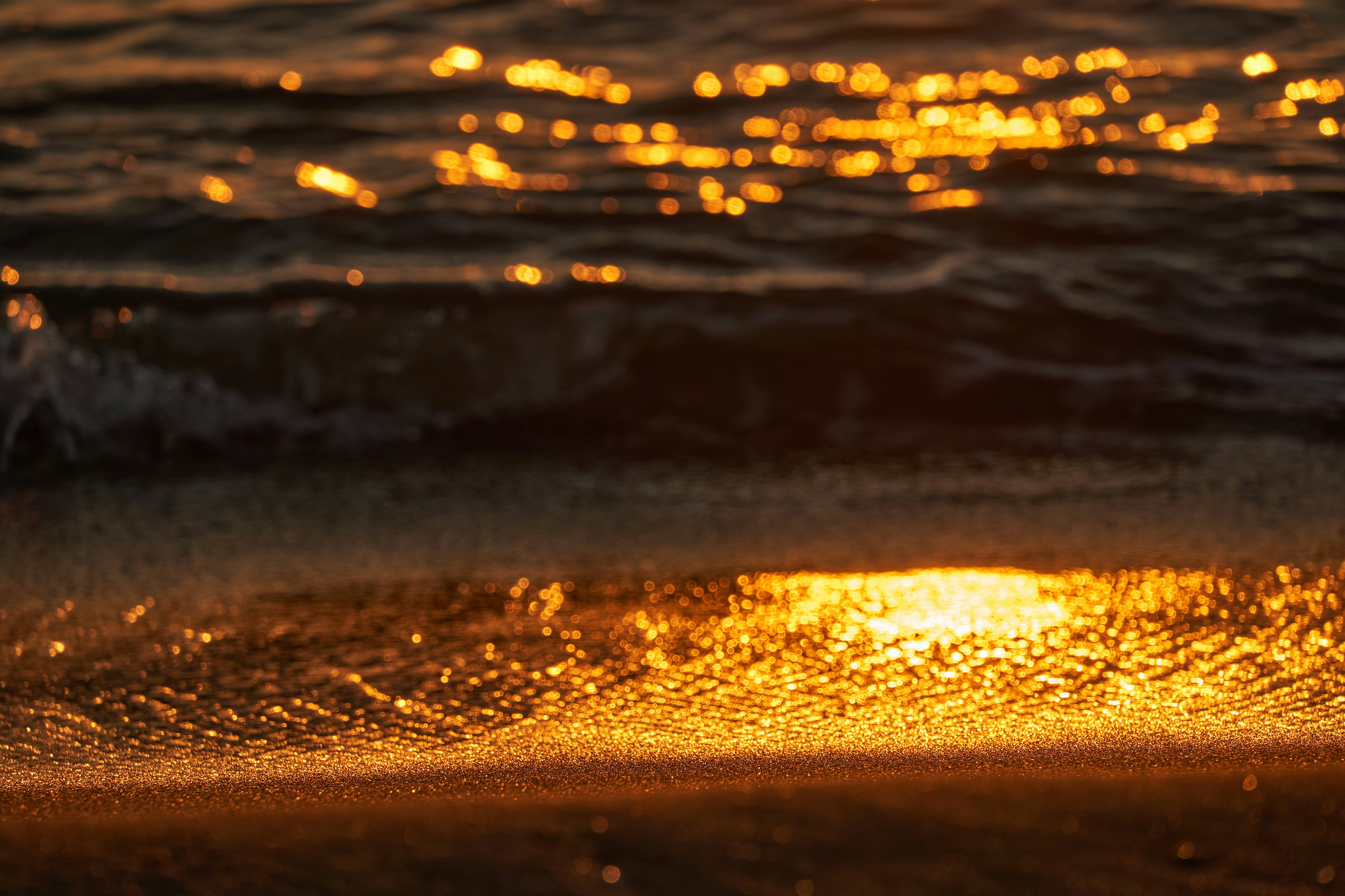 Photo by wolfgang_hasselmann