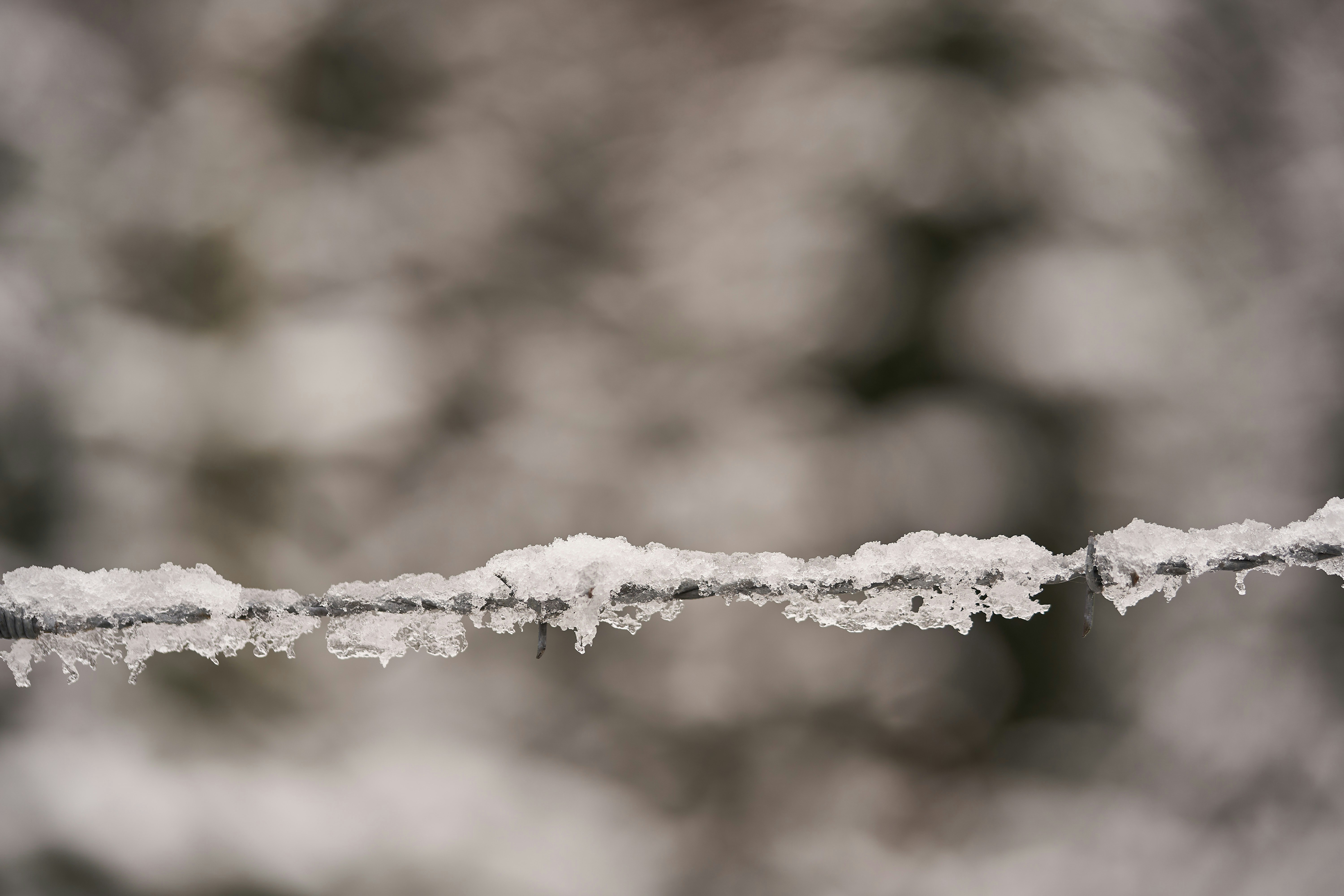 Photo by wolfgang_hasselmann