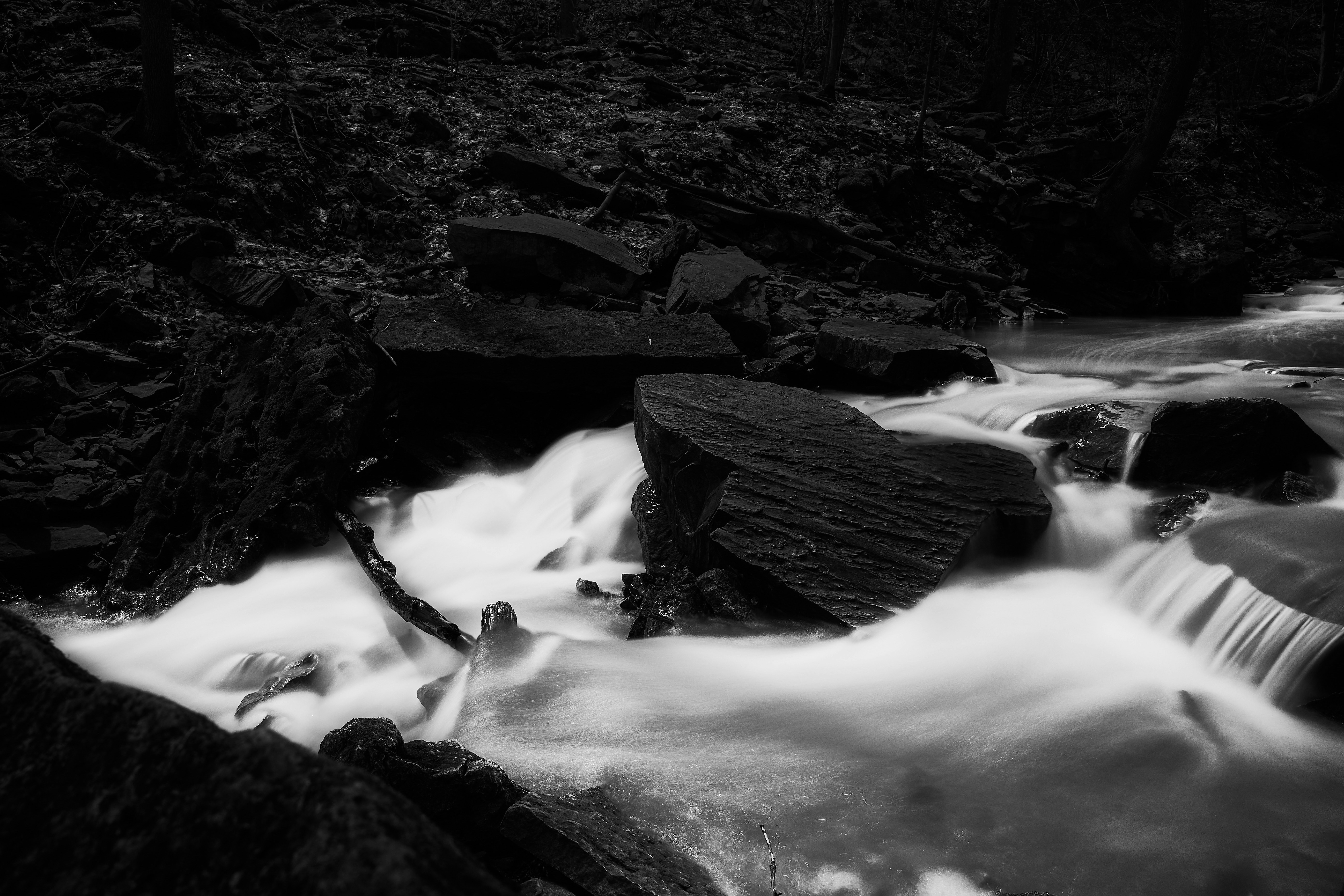 Photo by wolfgang_hasselmann