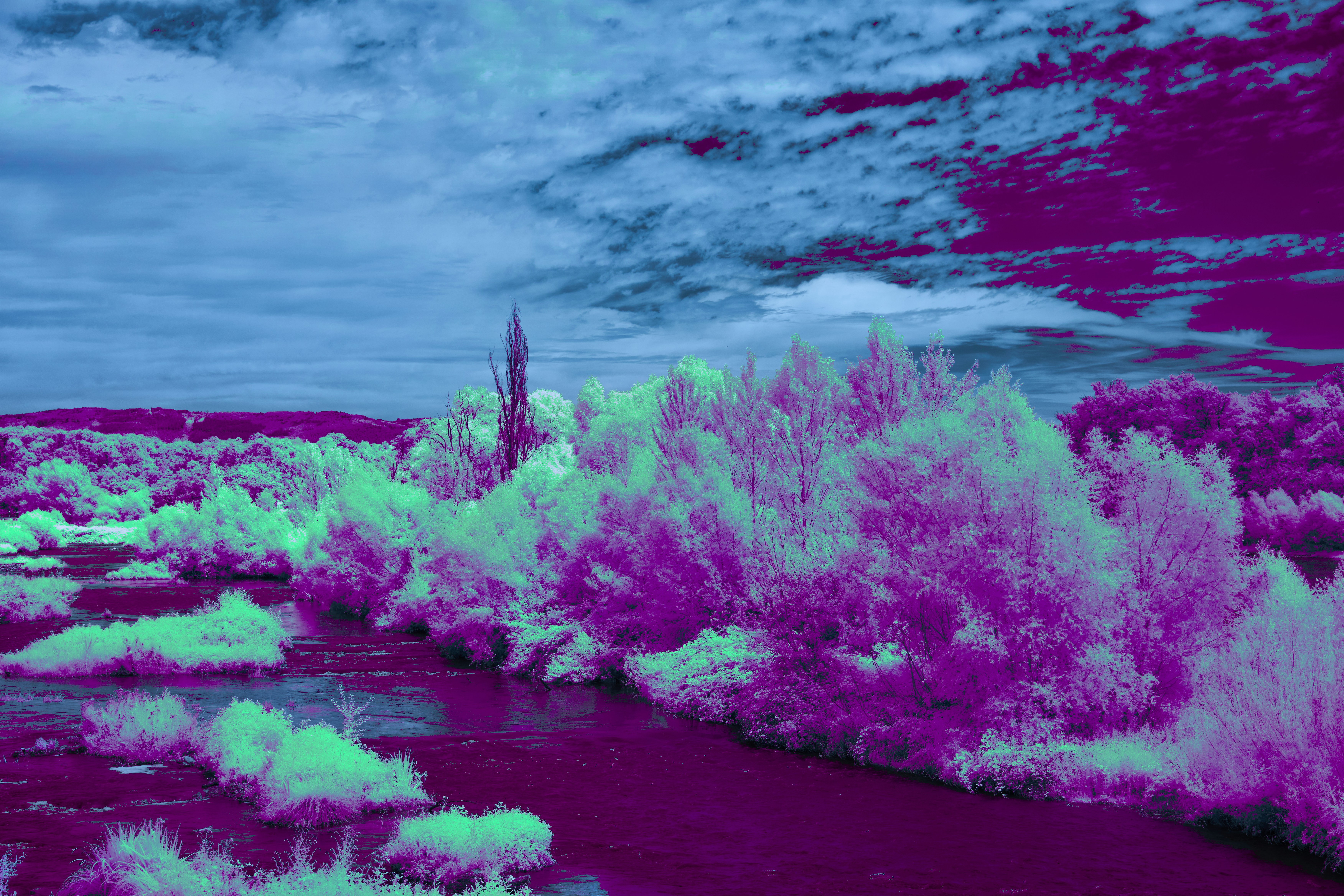 Photo by wolfgang_hasselmann