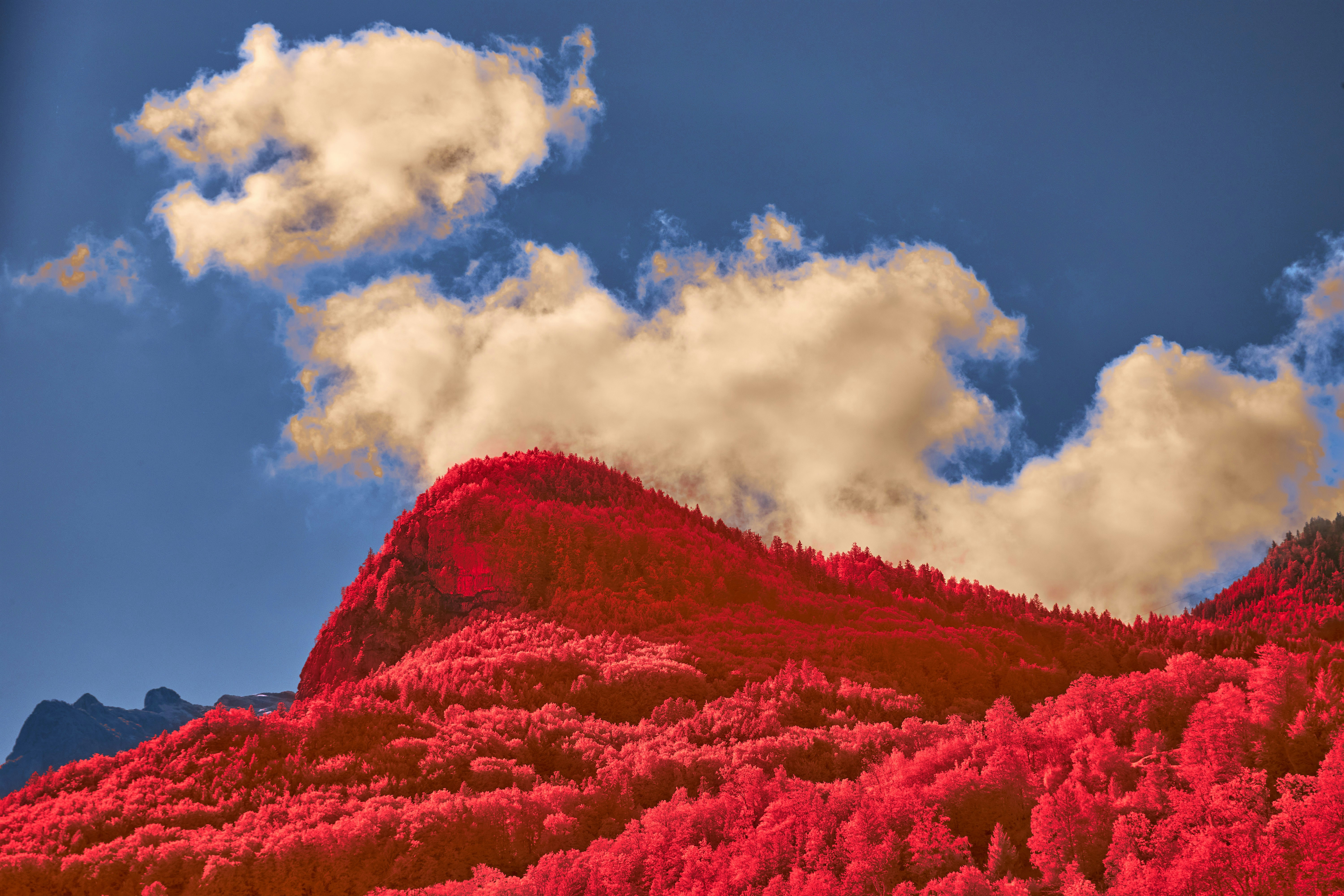 Photo by wolfgang_hasselmann