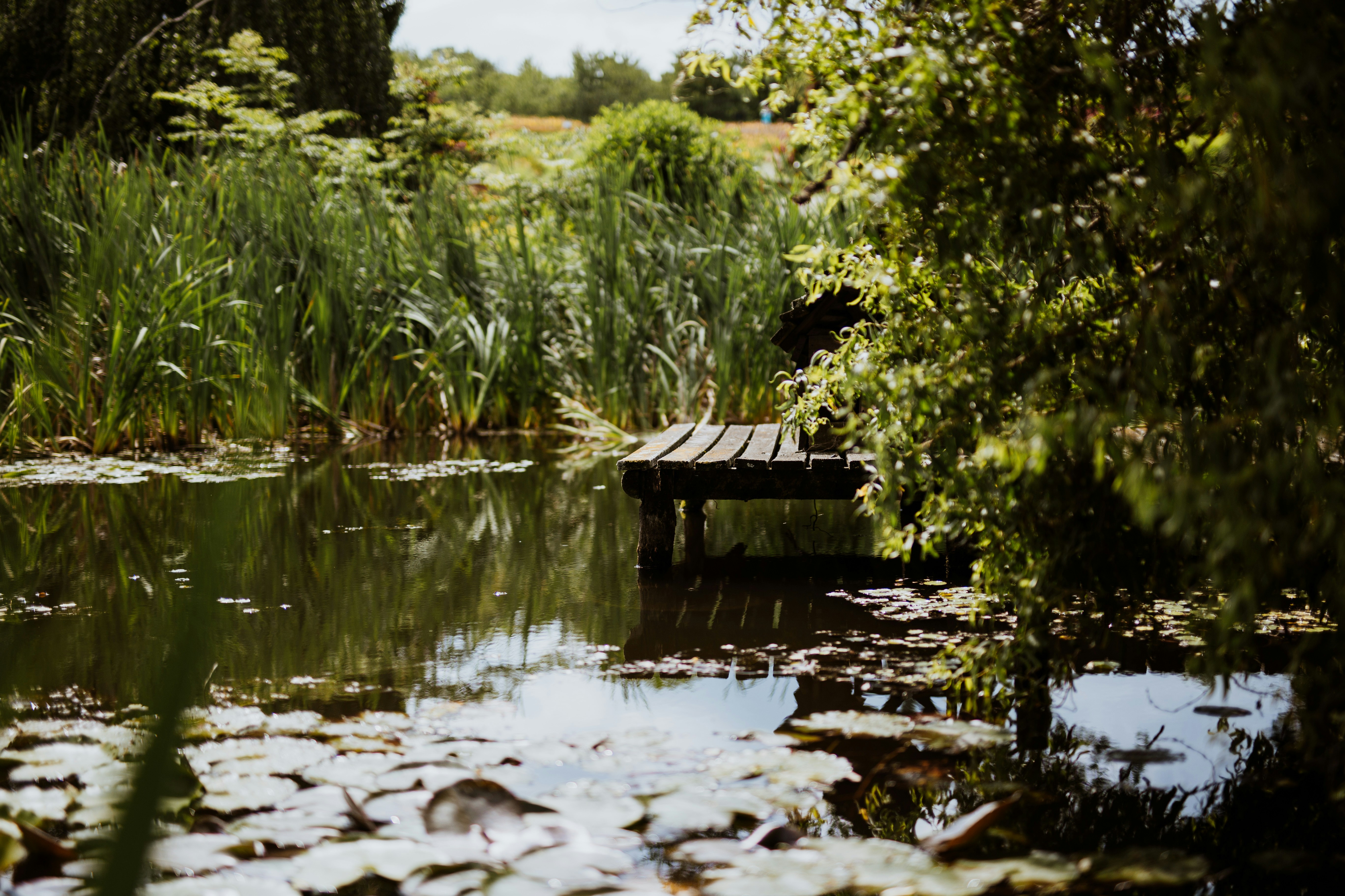 Photo by annabellalifestyle