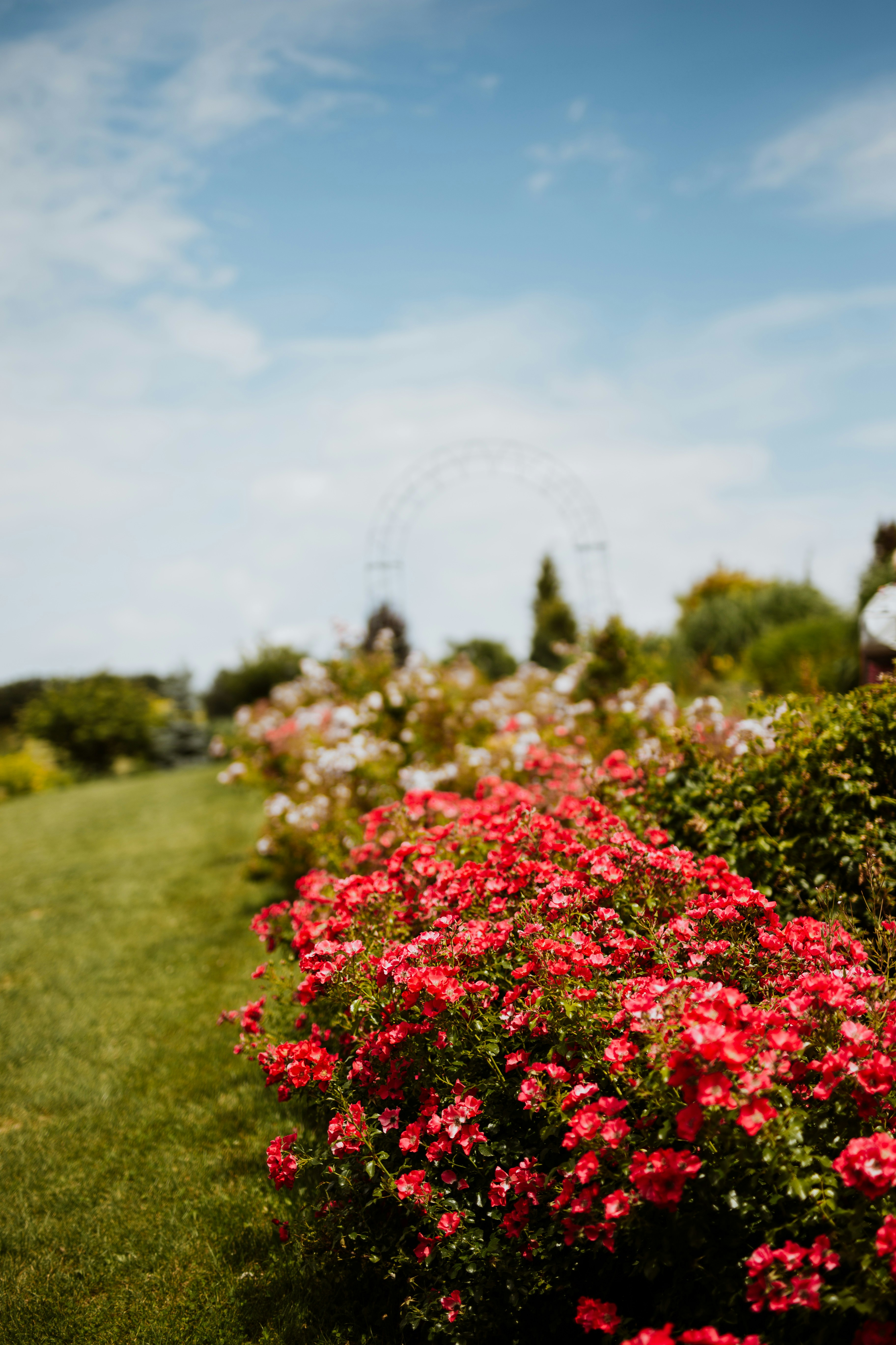 Photo by annabellalifestyle