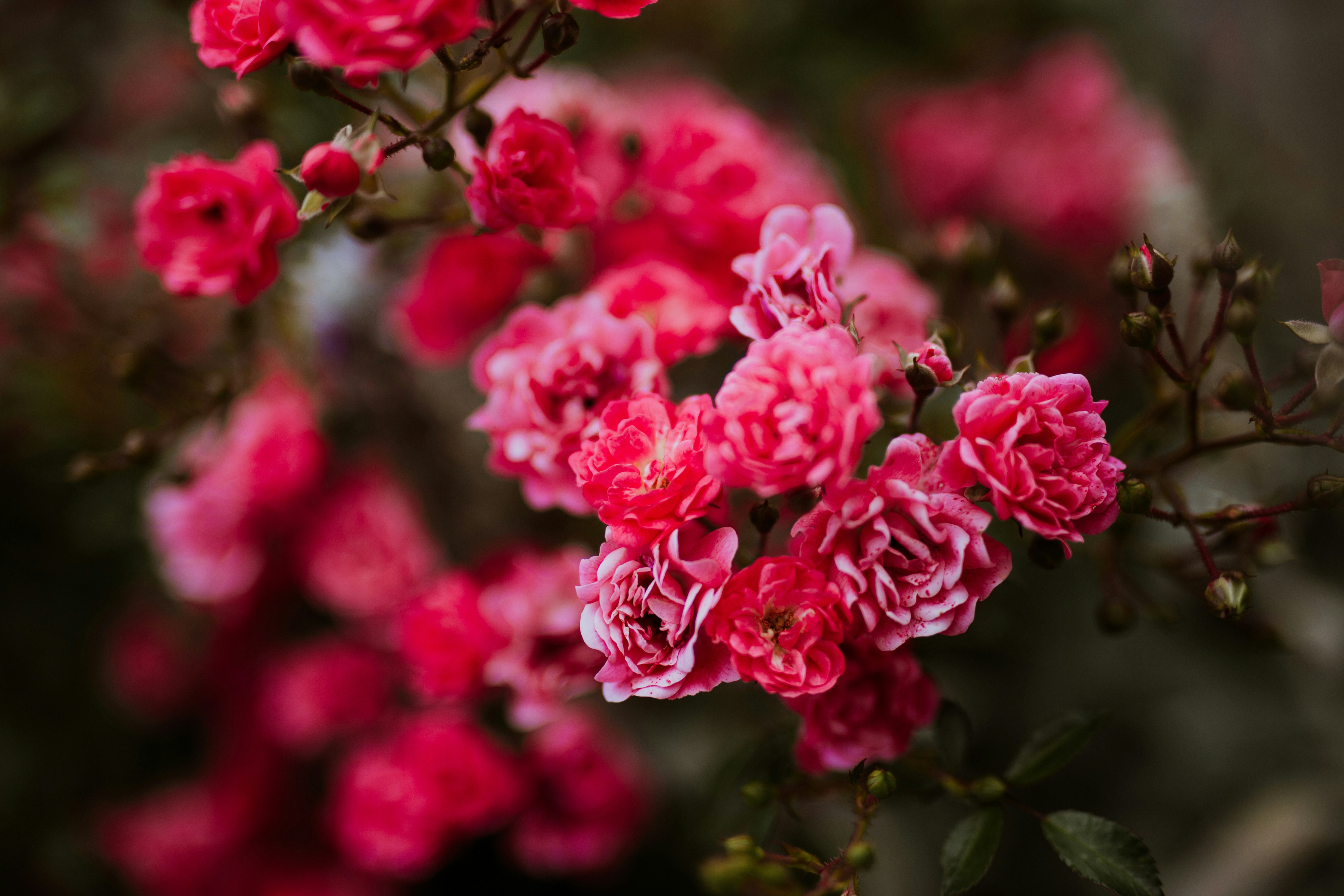 Photo by annabellalifestyle