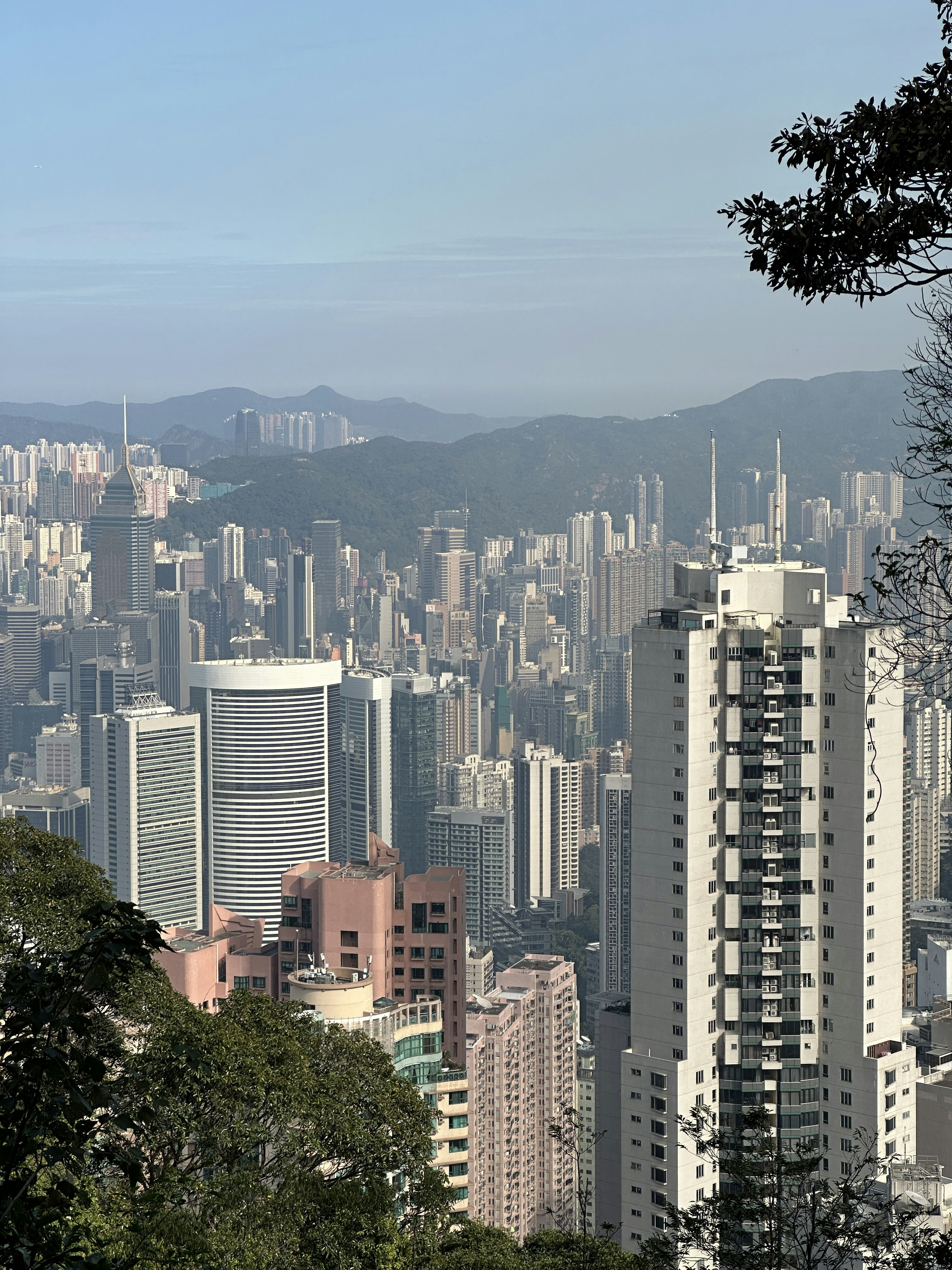 Photo by artemisss666