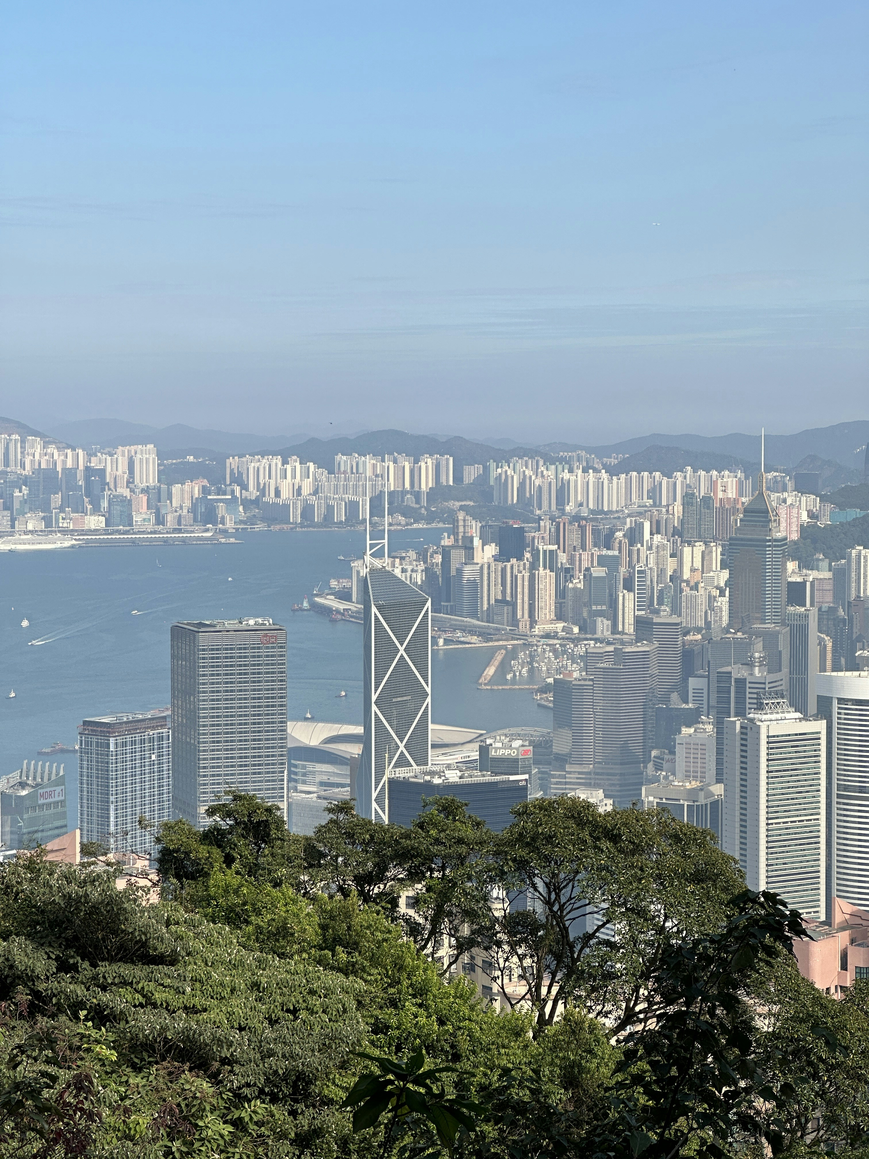 Photo by artemisss666