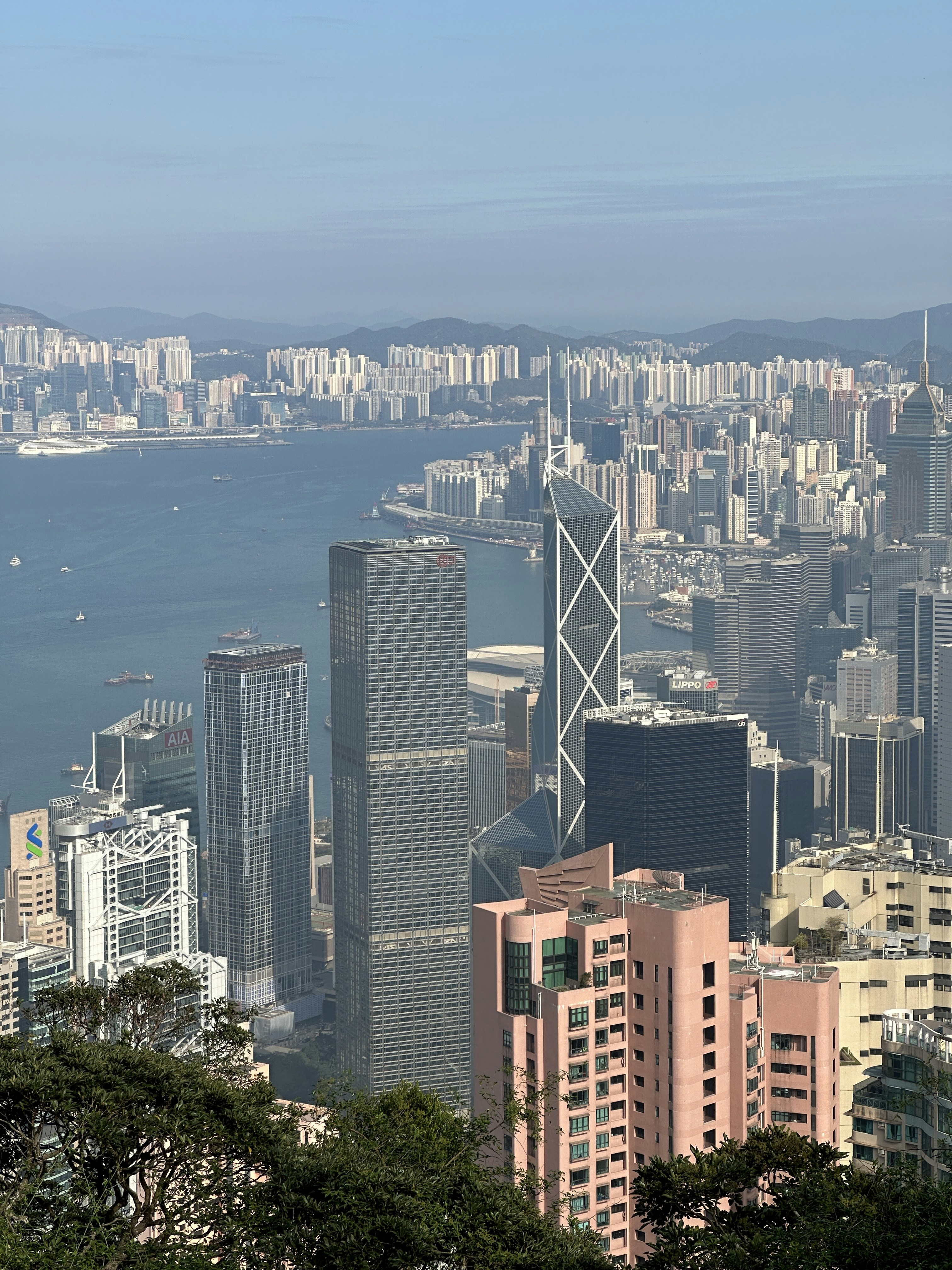 Photo by artemisss666