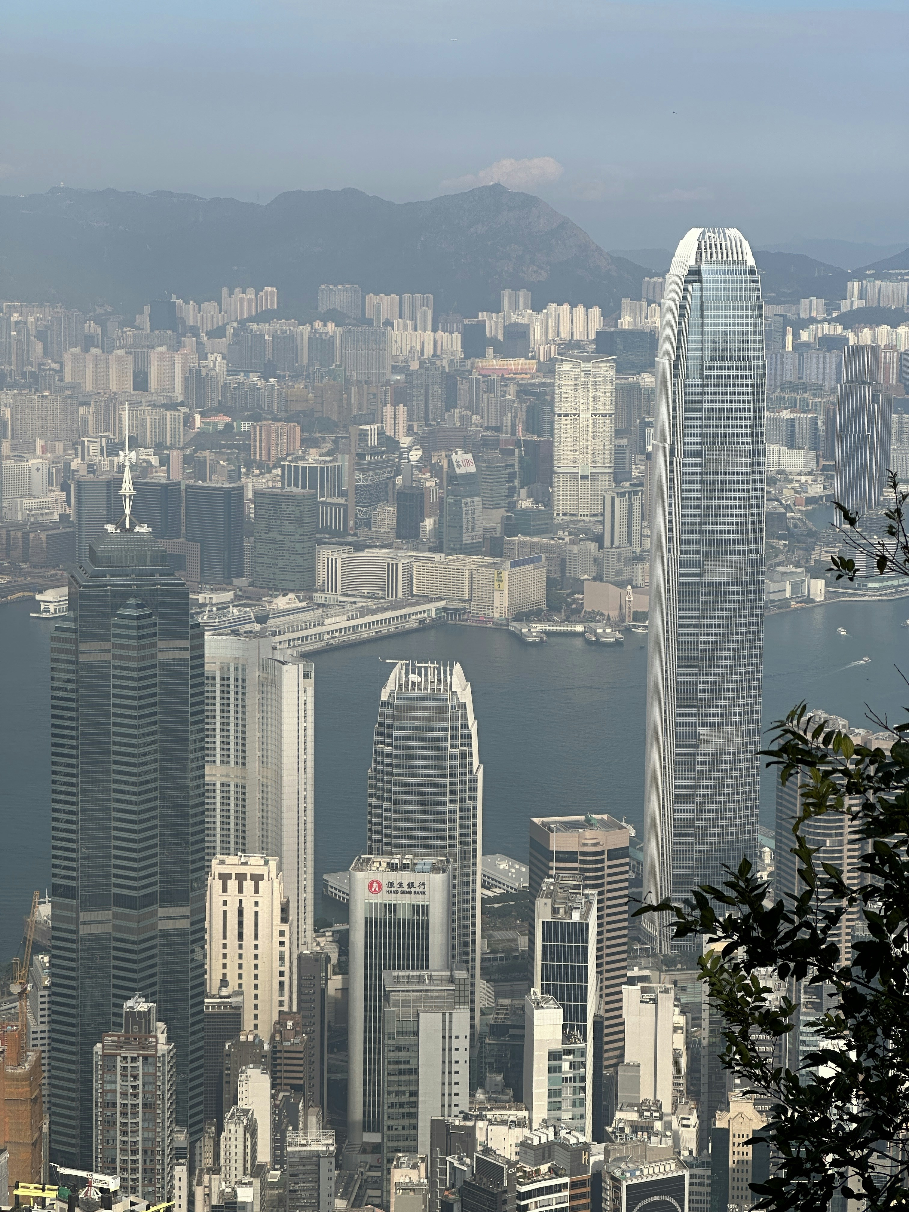 Photo by artemisss666