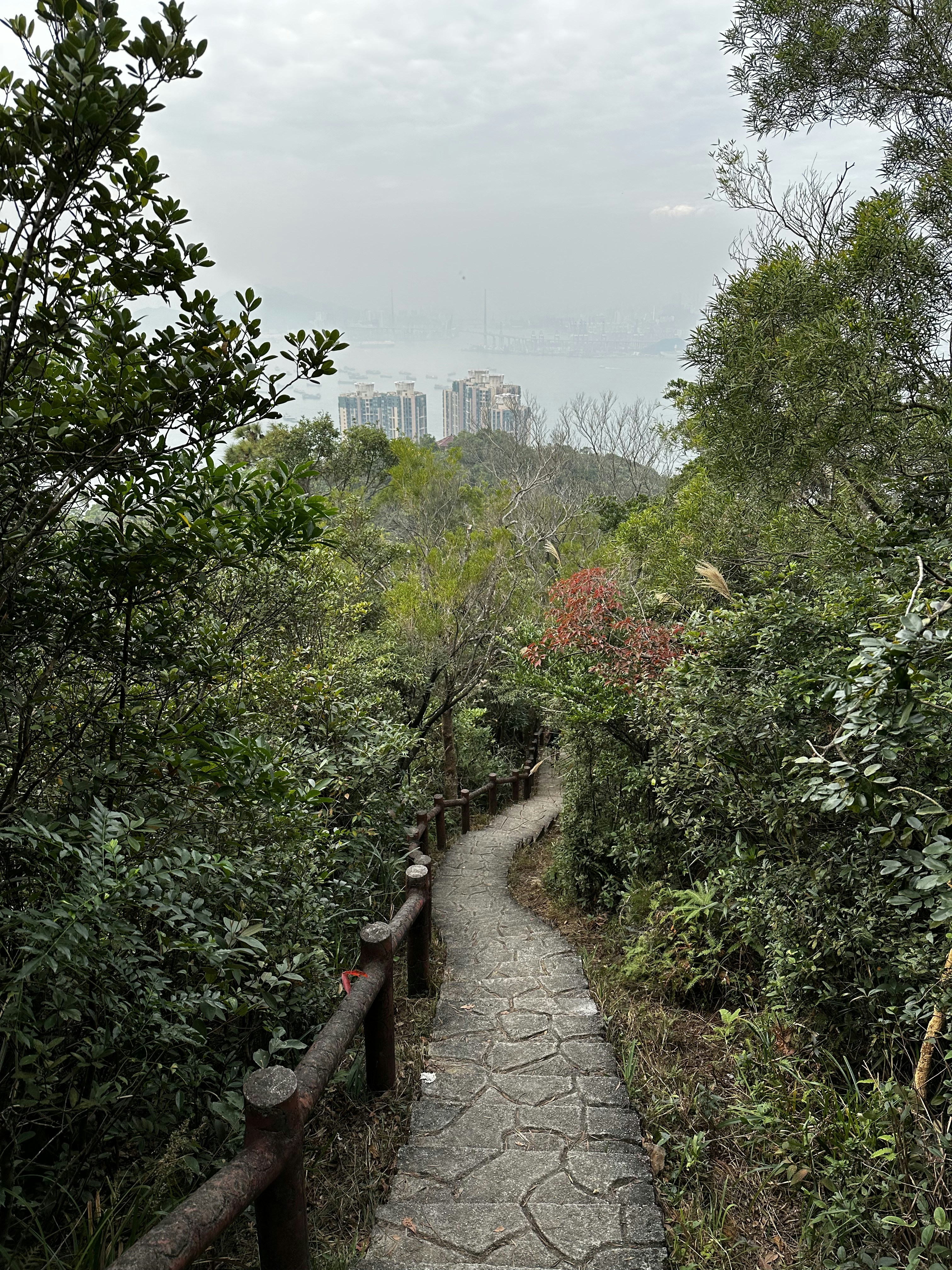A stone path in the middle of a forest