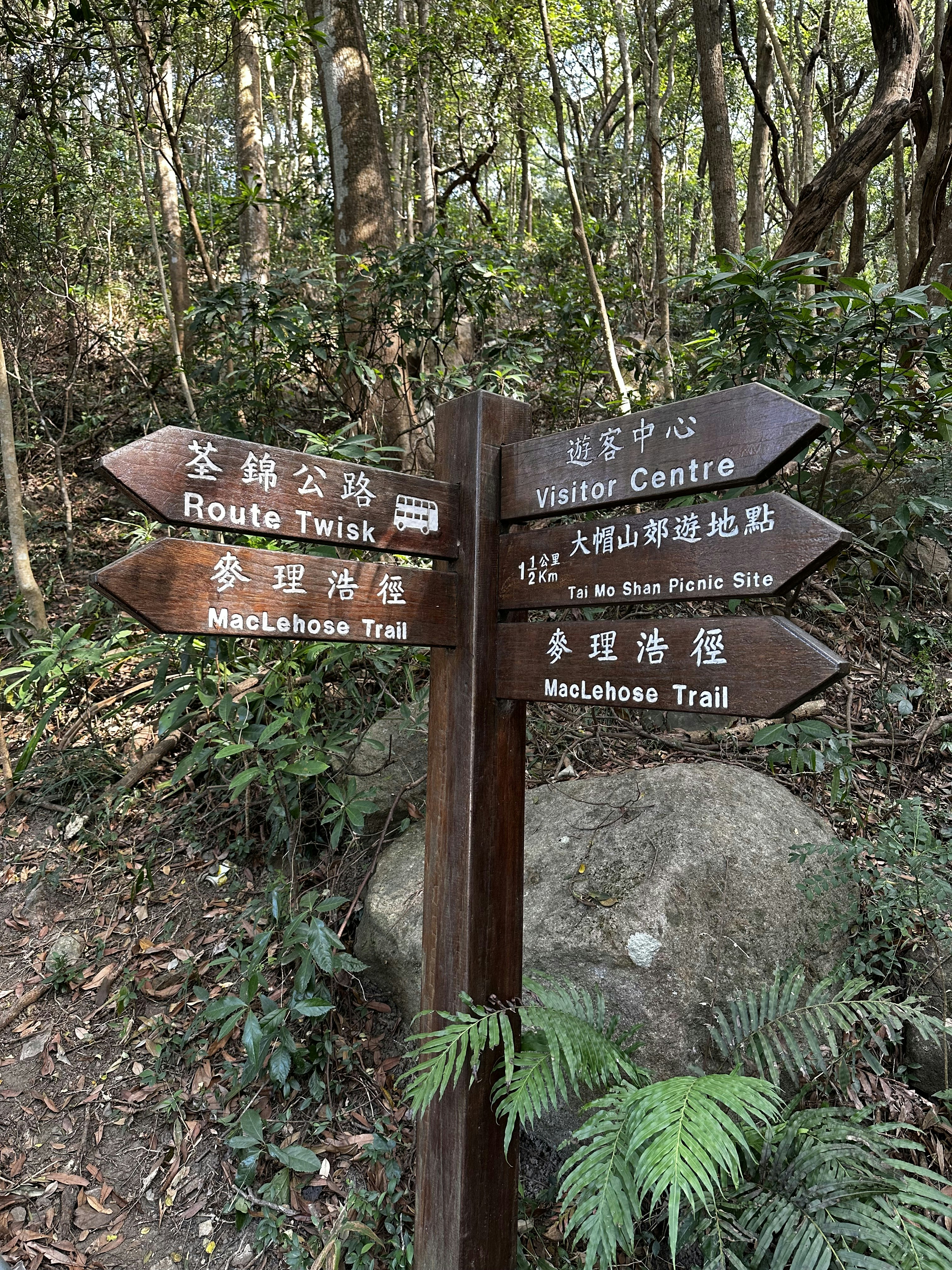 Photo by artemisss666