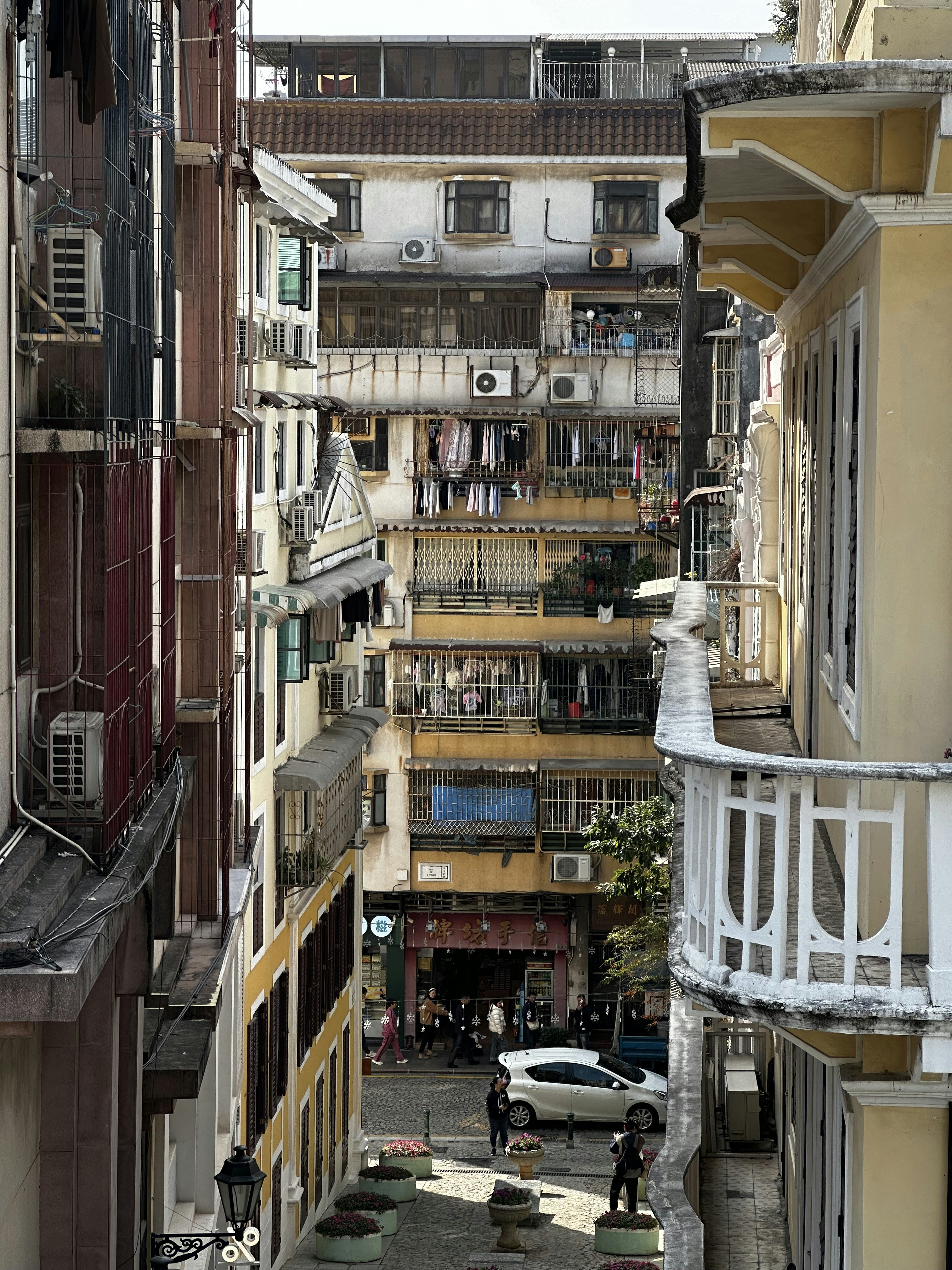 photo-1723372815316-de3d6cfc55df?ixid=M3wxMjA3fDB8MXxzZWFyY2h8Mnx8YmFuZGFyJTIwdG90byUyMG1hY2F1fGVufDB8fHx8MTc2NTM4NzI4Nnww\u0026ixlib=rb-4.1.0