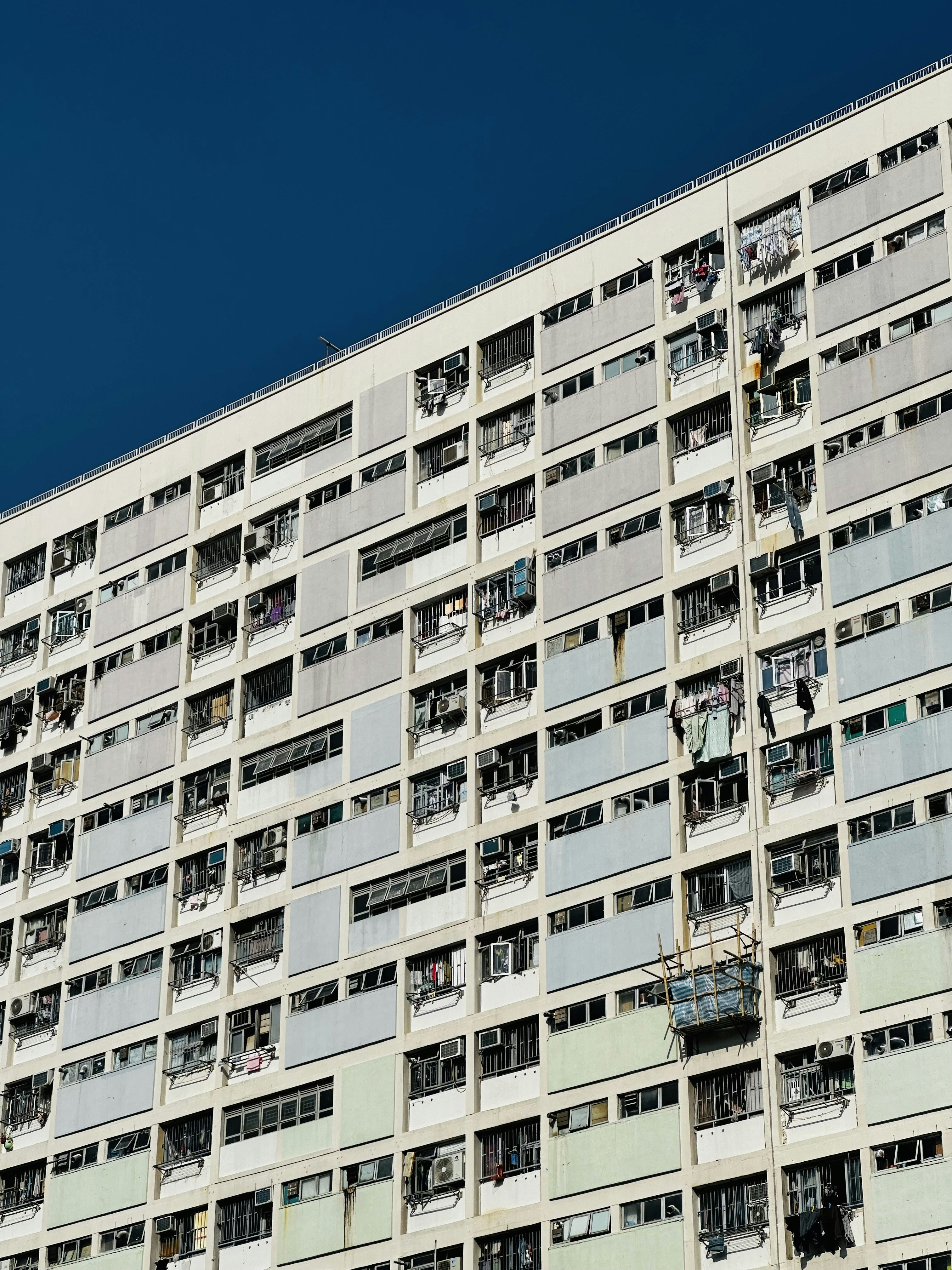 Photo by artemisss666