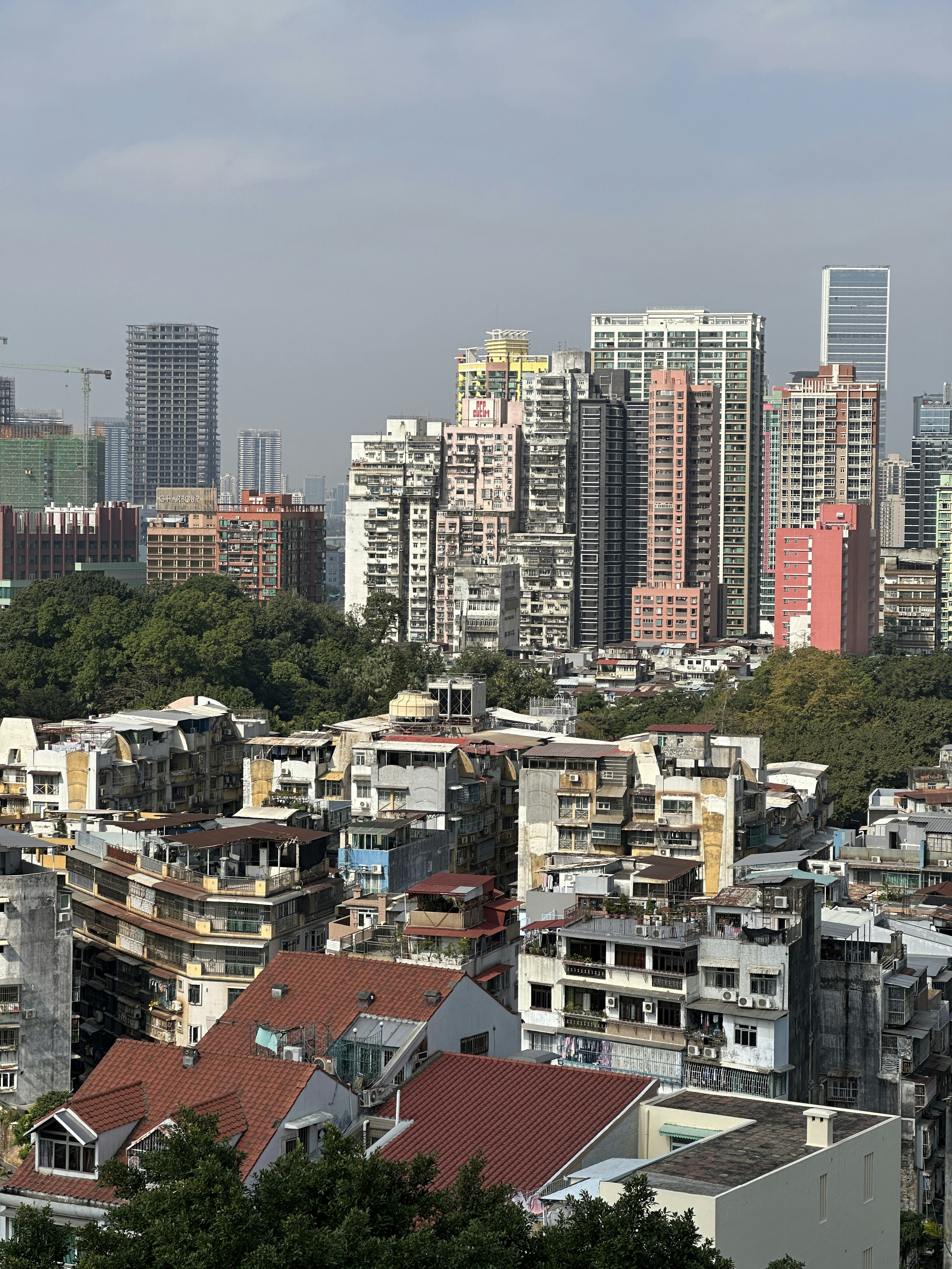 Photo by artemisss666