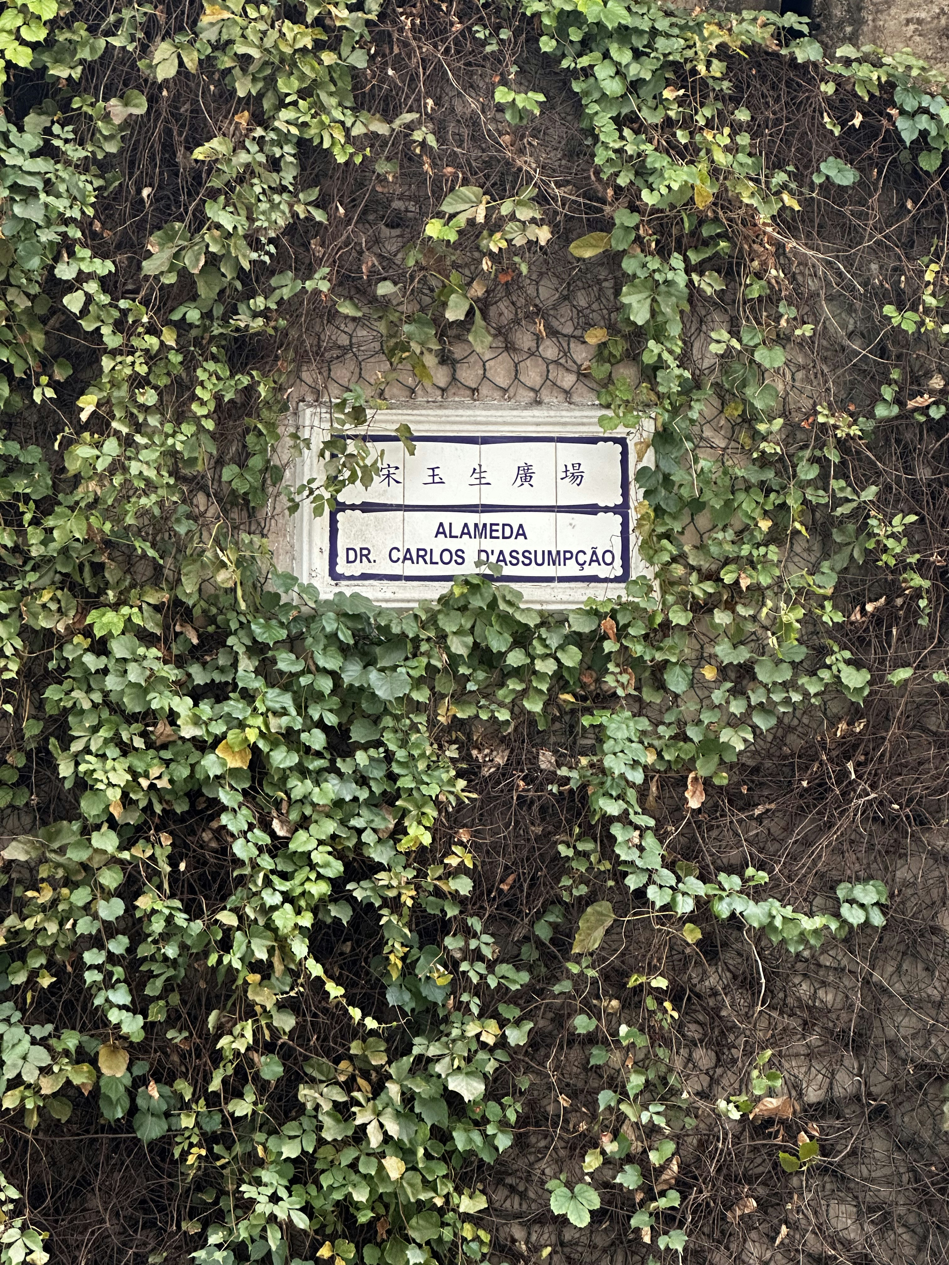 Photo by artemisss666