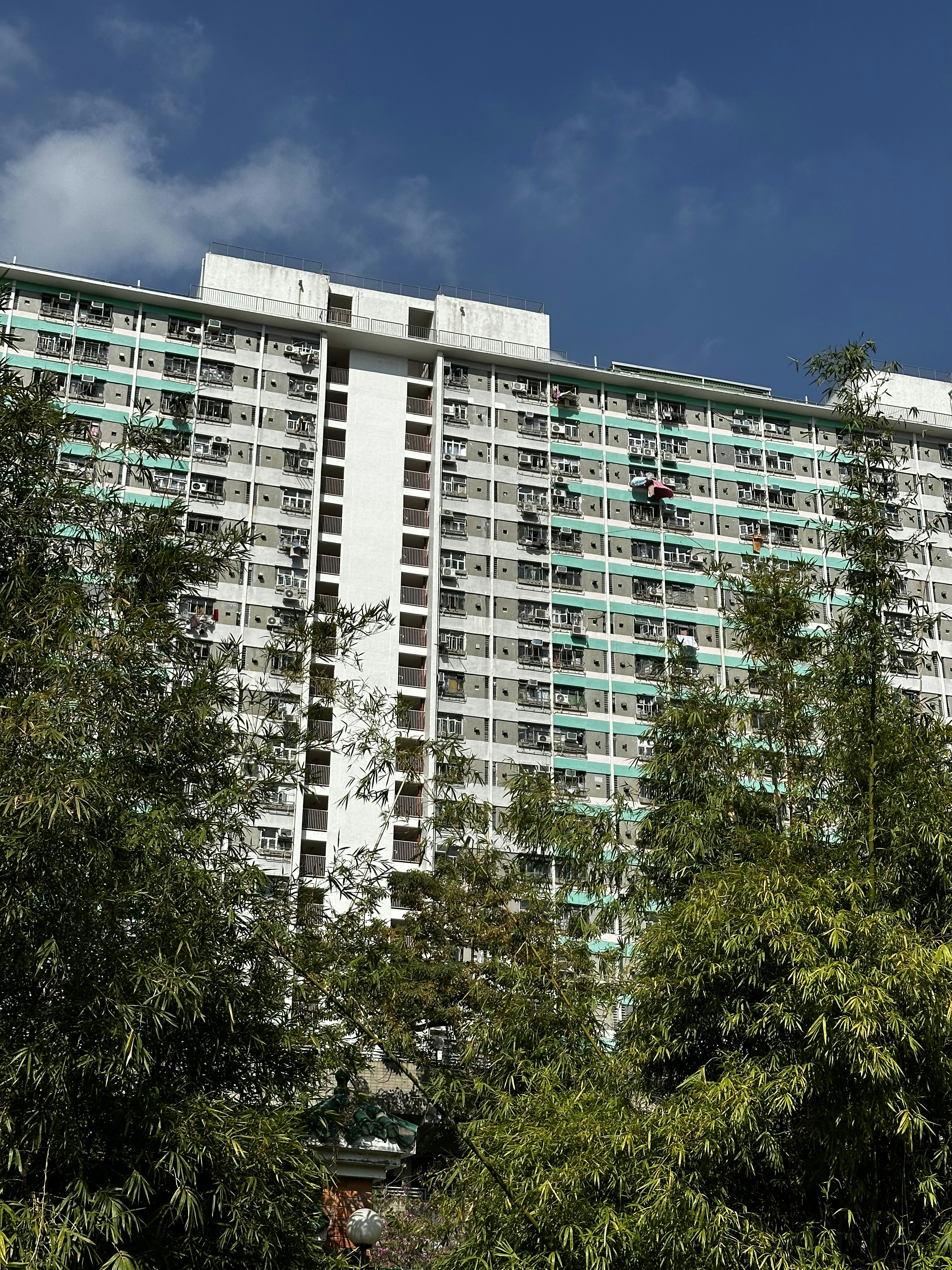 Photo by artemisss666