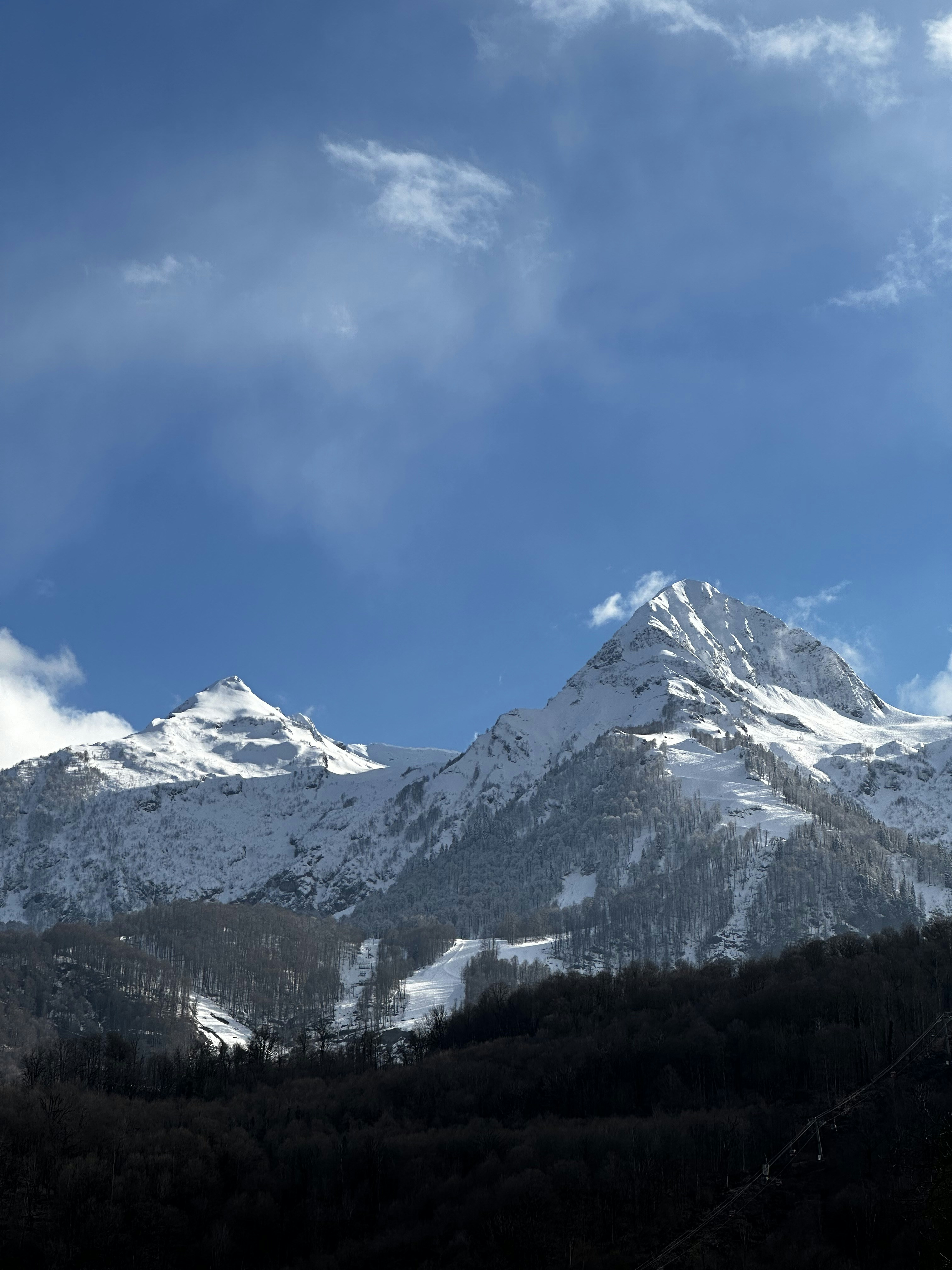 Photo by artemisss666