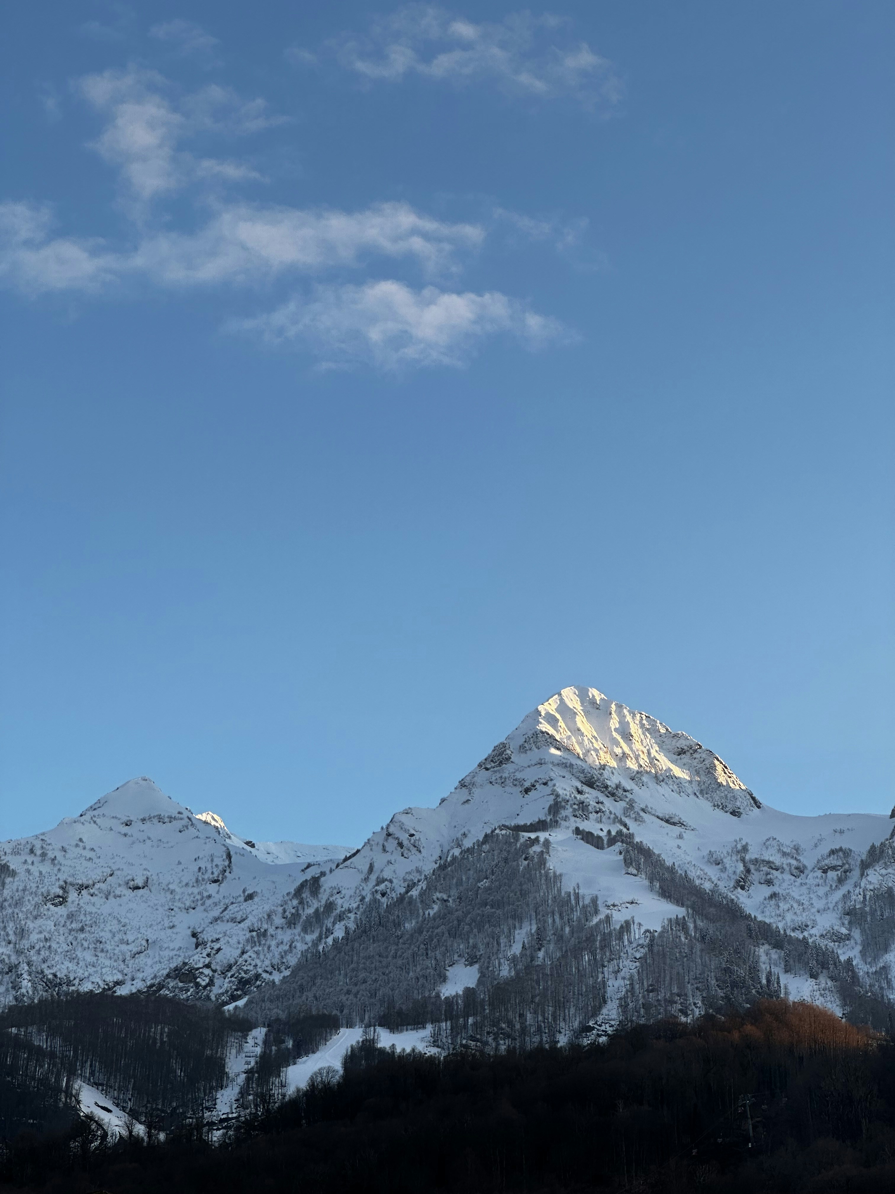 Photo by artemisss666