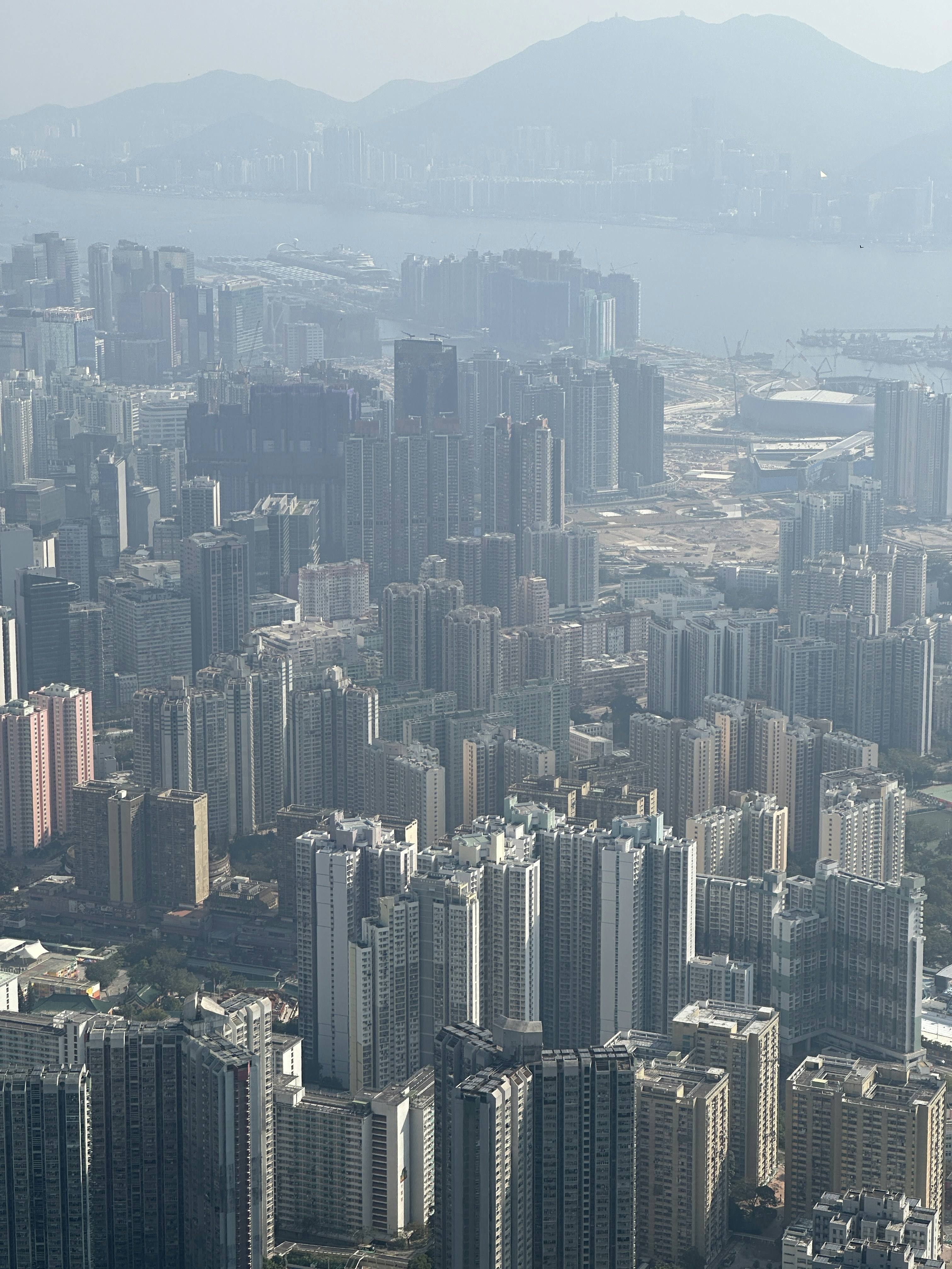 Photo by artemisss666