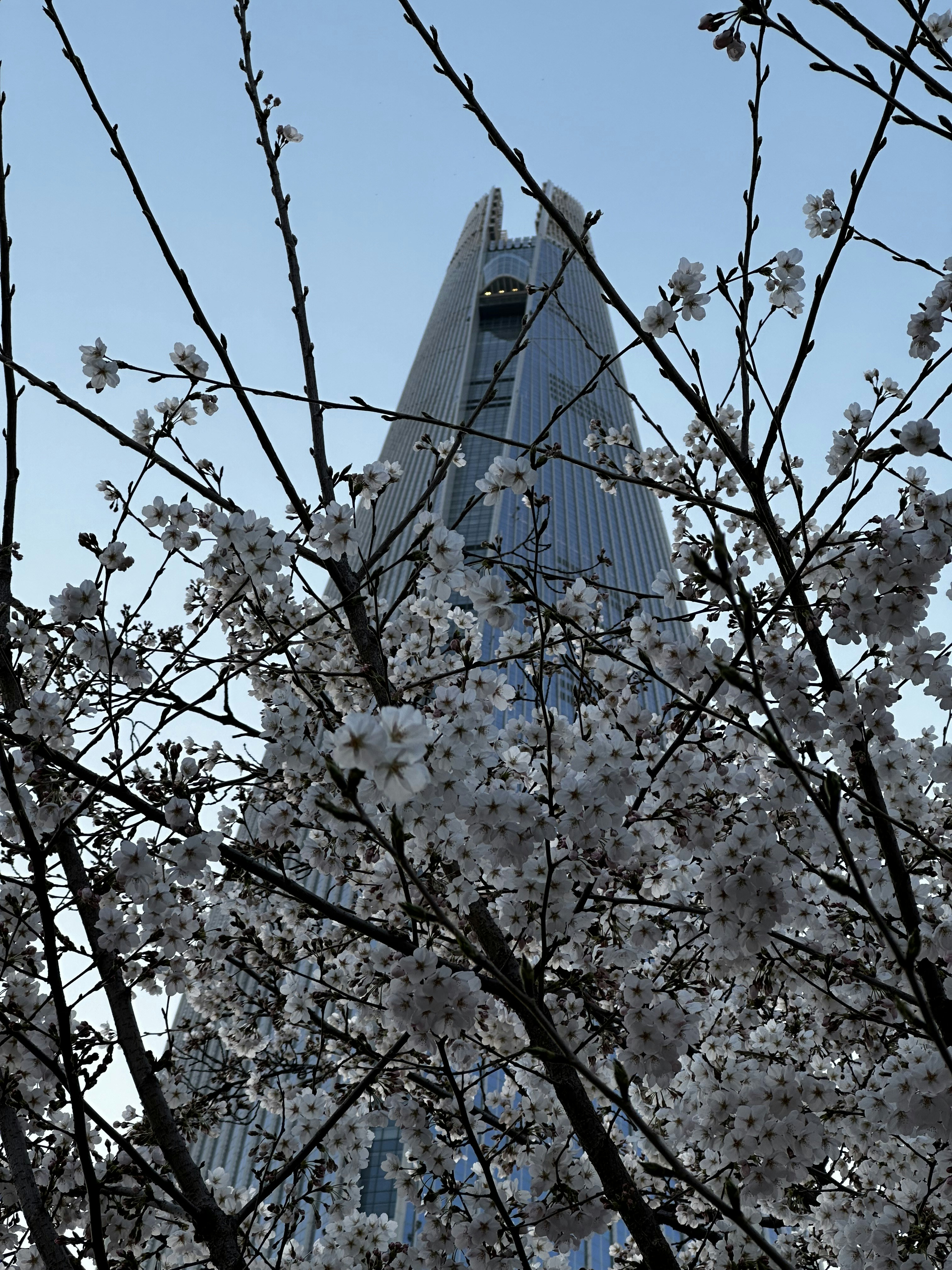 Photo by artemisss666