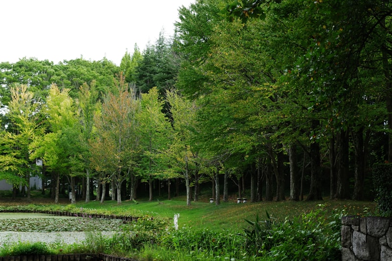 Traitement punaises de lit Orvault (44700) - Expert Punaise 44 Loire-Atlantique