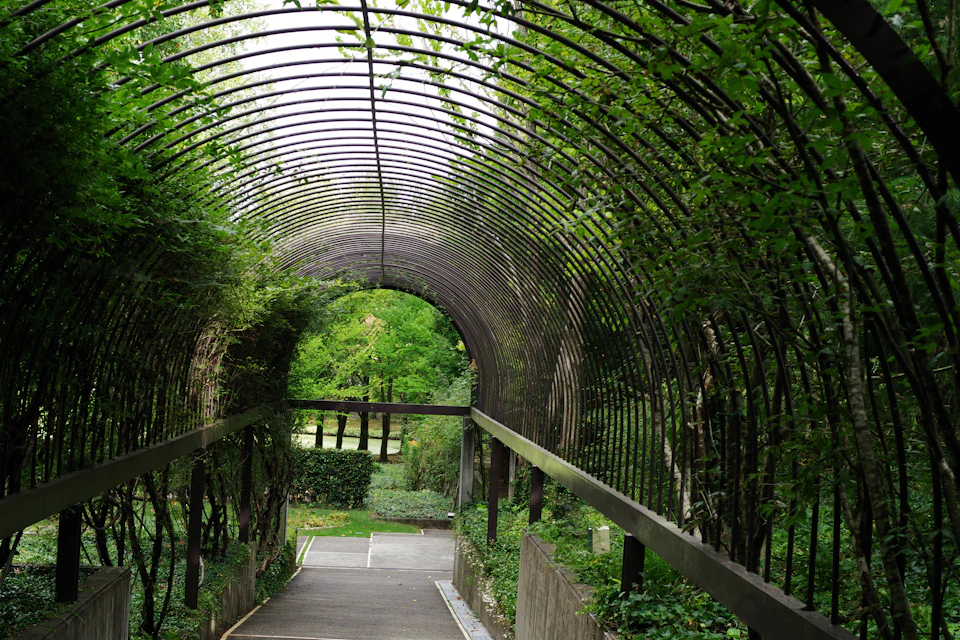The image depicts a serene garden scene with a large, arched metal gate serving as the main focal point. The gate is constructed from black iron and features a lattice design that allows glimpses into the lush greenery beyond it. The gate is situated on a concrete walkway, which extends towards an unseen destination in the distance. The surrounding area is filled with trees and bushes, creating a sense of depth and tranquility.