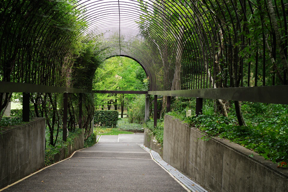 The image depicts a serene garden scene with a large, arched walkway constructed from metal and lined with lush green trees on both sides. The walkway is adorned with a canopy of leaves that filters sunlight into the space below. A concrete wall can be seen in the background, adding depth to the scene. The perspective of the image is taken from within the garden, looking out towards the arched walkway, creating an immersive and tranquil atmosphere.