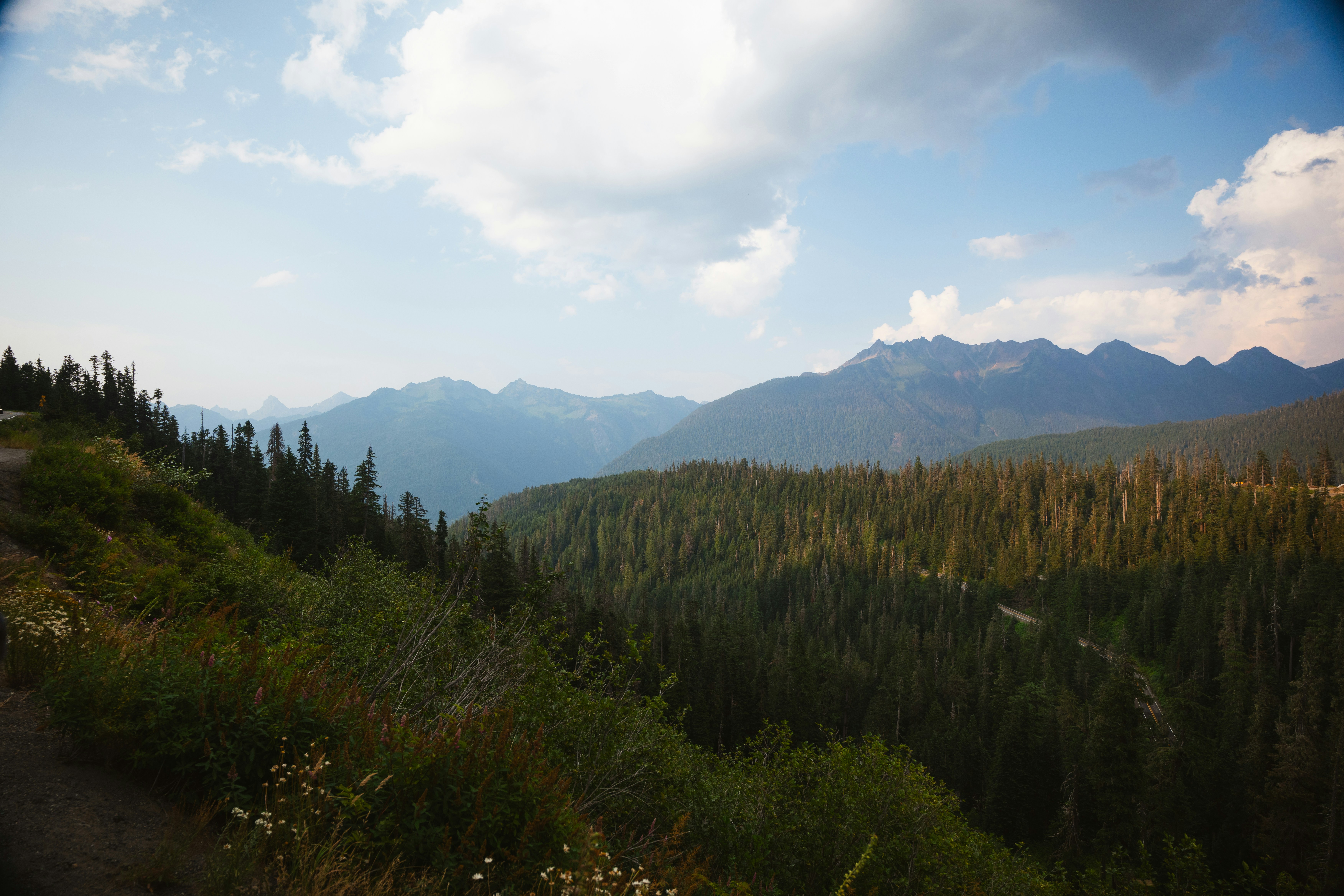 Photo by bylukemiller