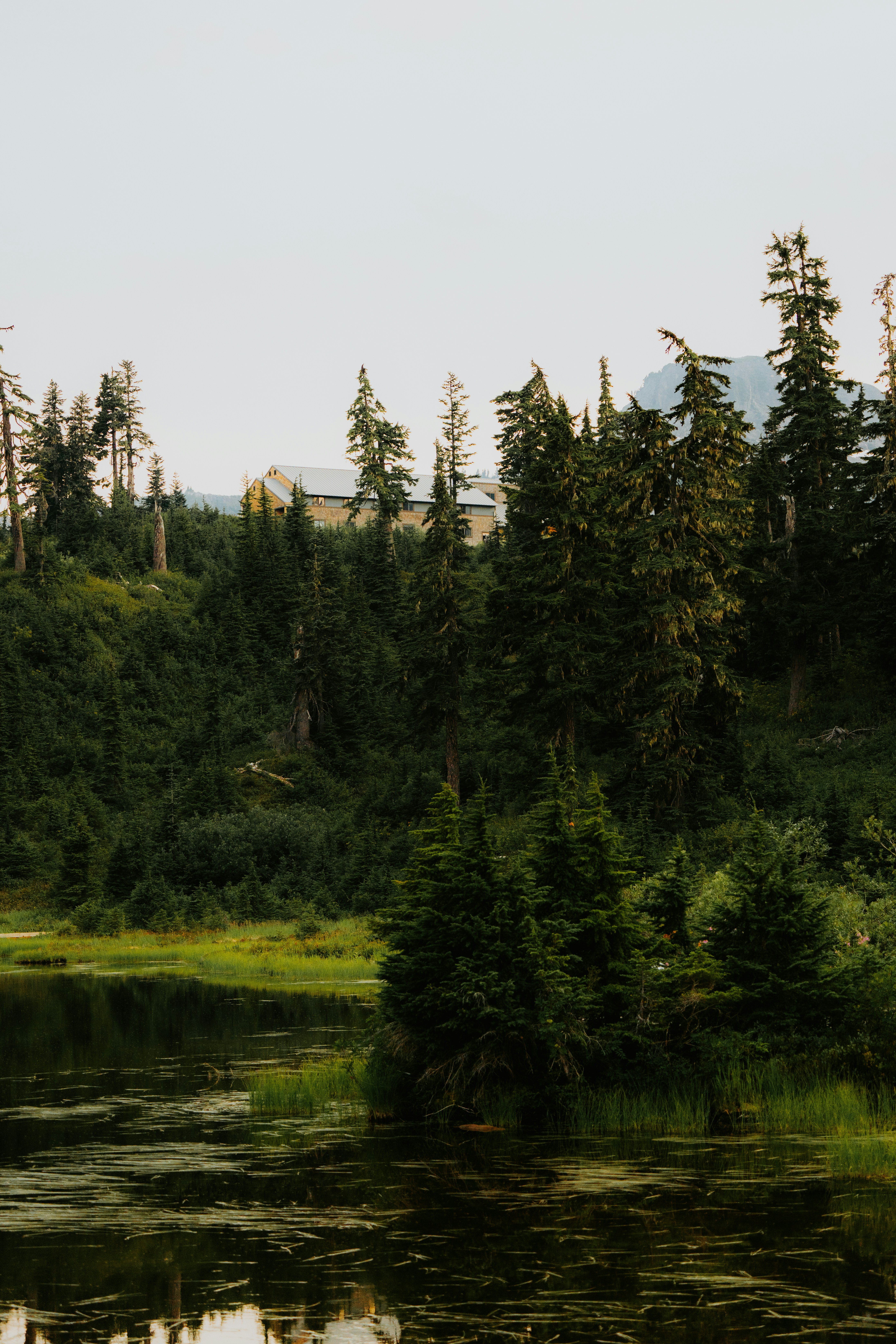 Photo by bylukemiller