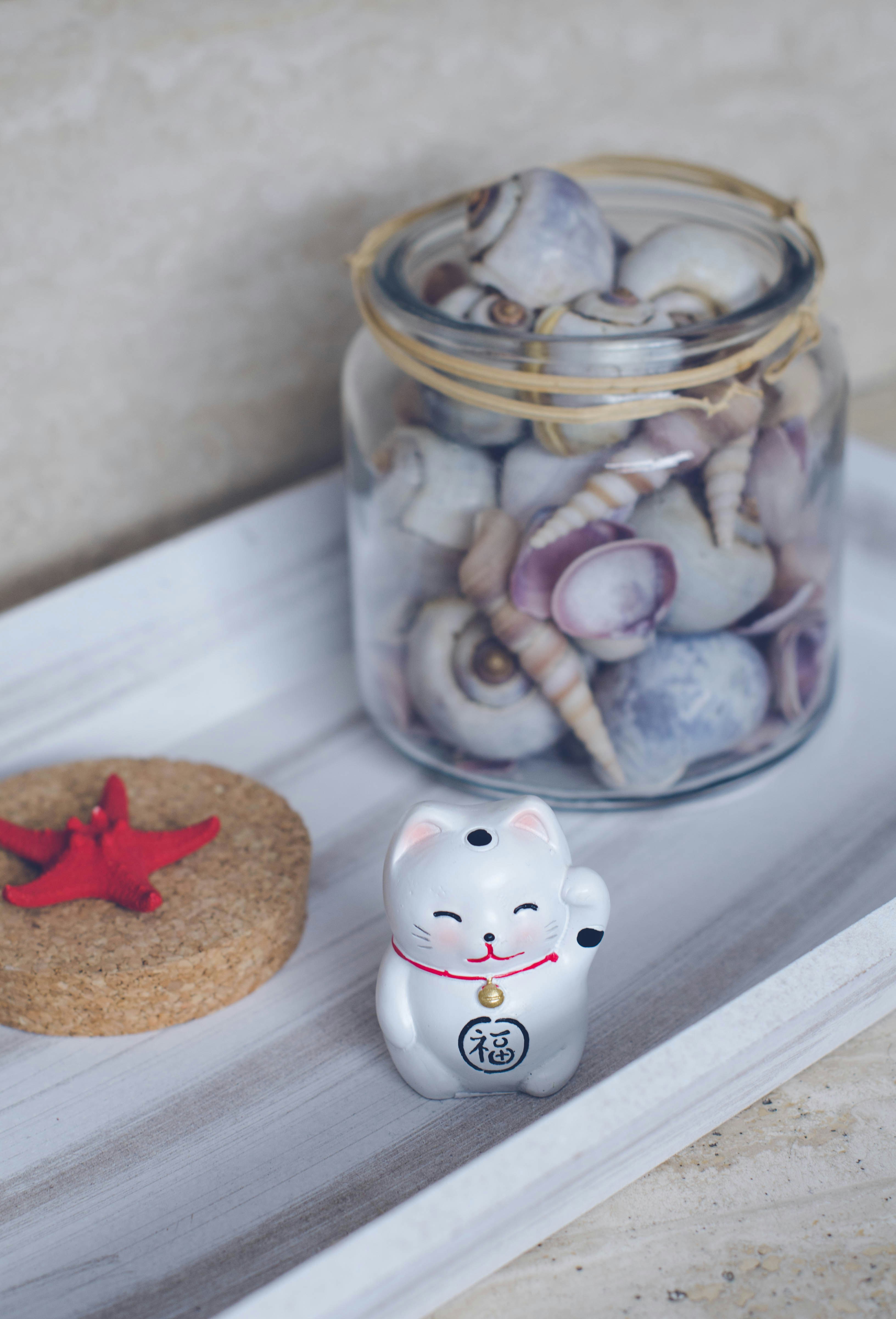 A glass jar filled with sea shells next to a cookie