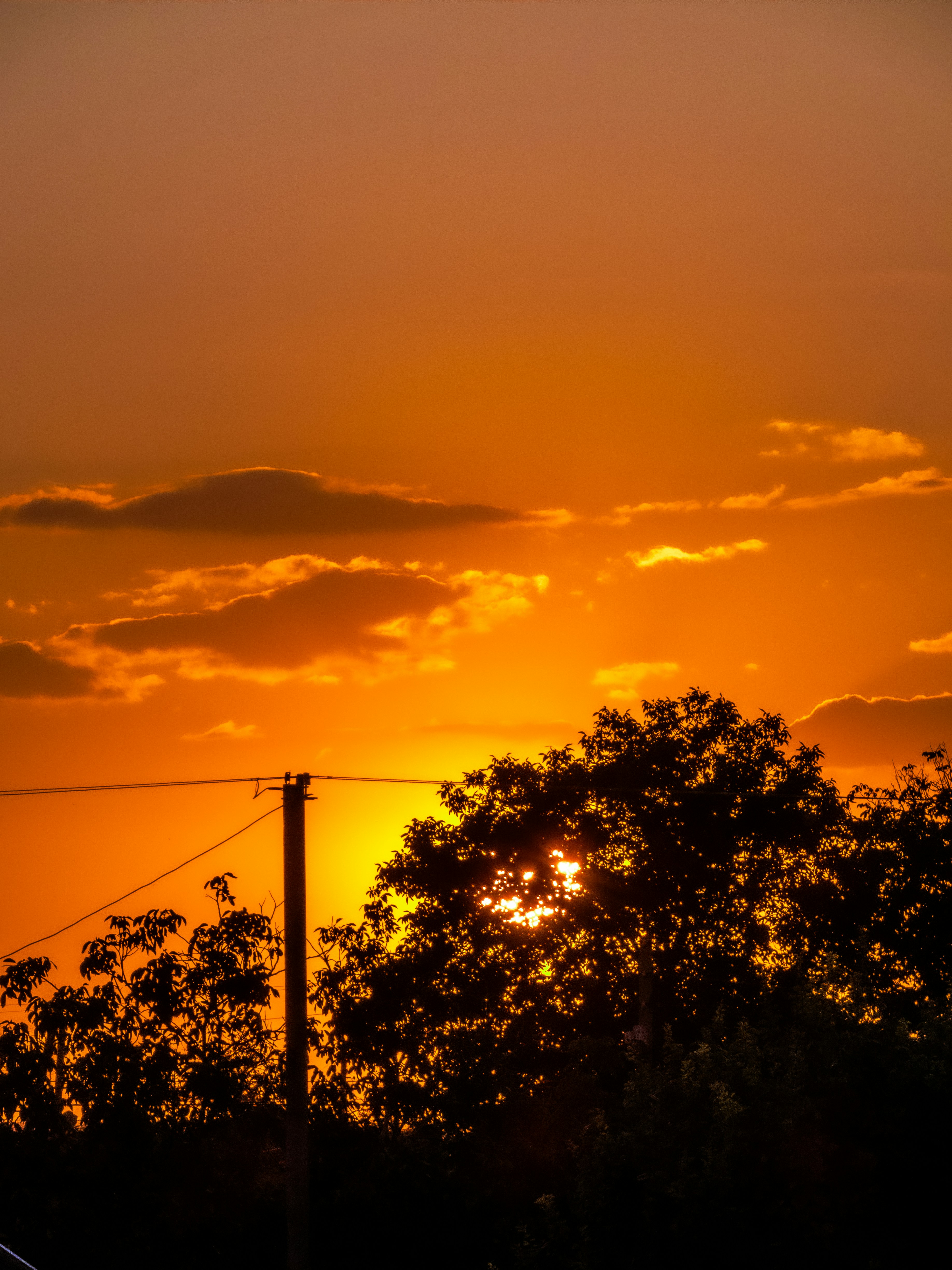 Photo by justmeandcamera