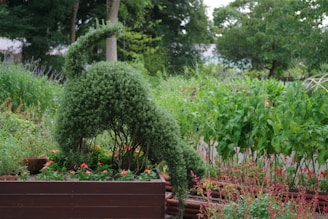 A garden filled with lots of different types of plants