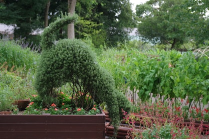 A garden filled with lots of different types of plants